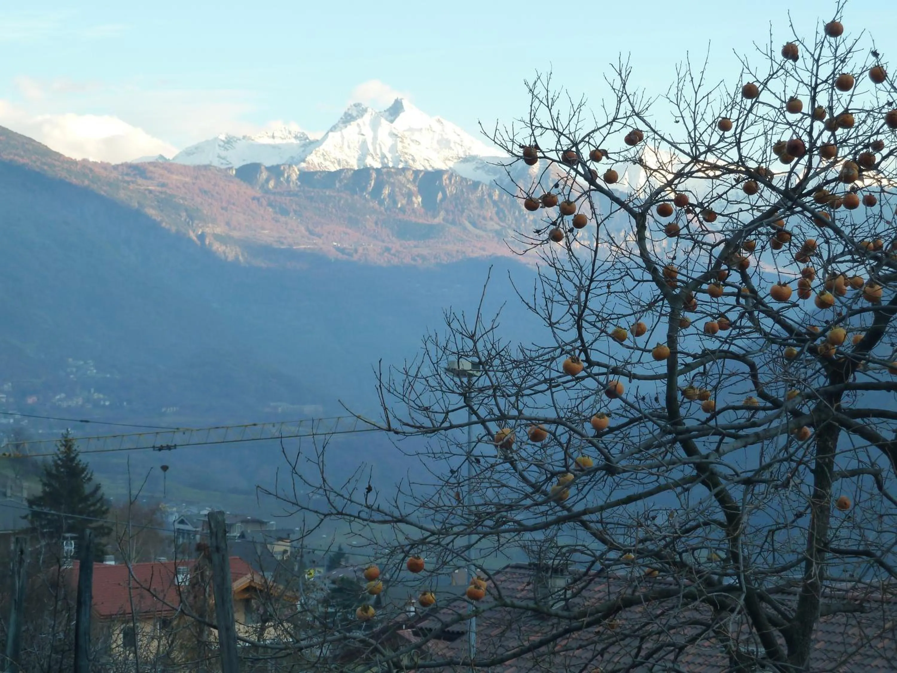 Mountain view in Hotel Le Verger