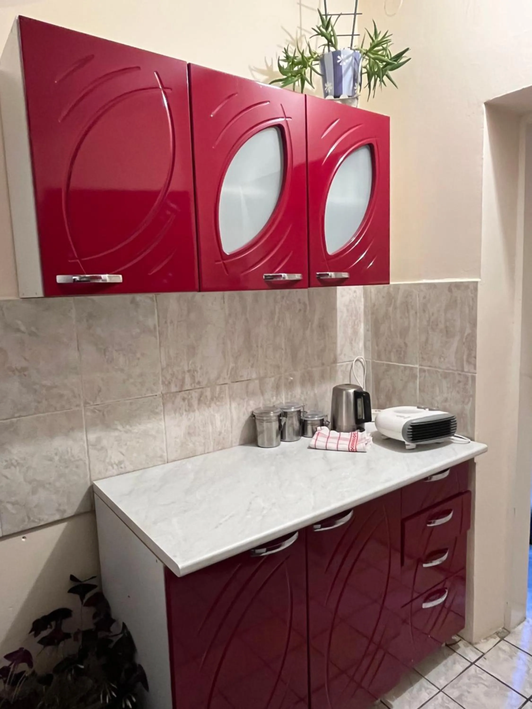 Cozy apartment in the center of Novi Sad!