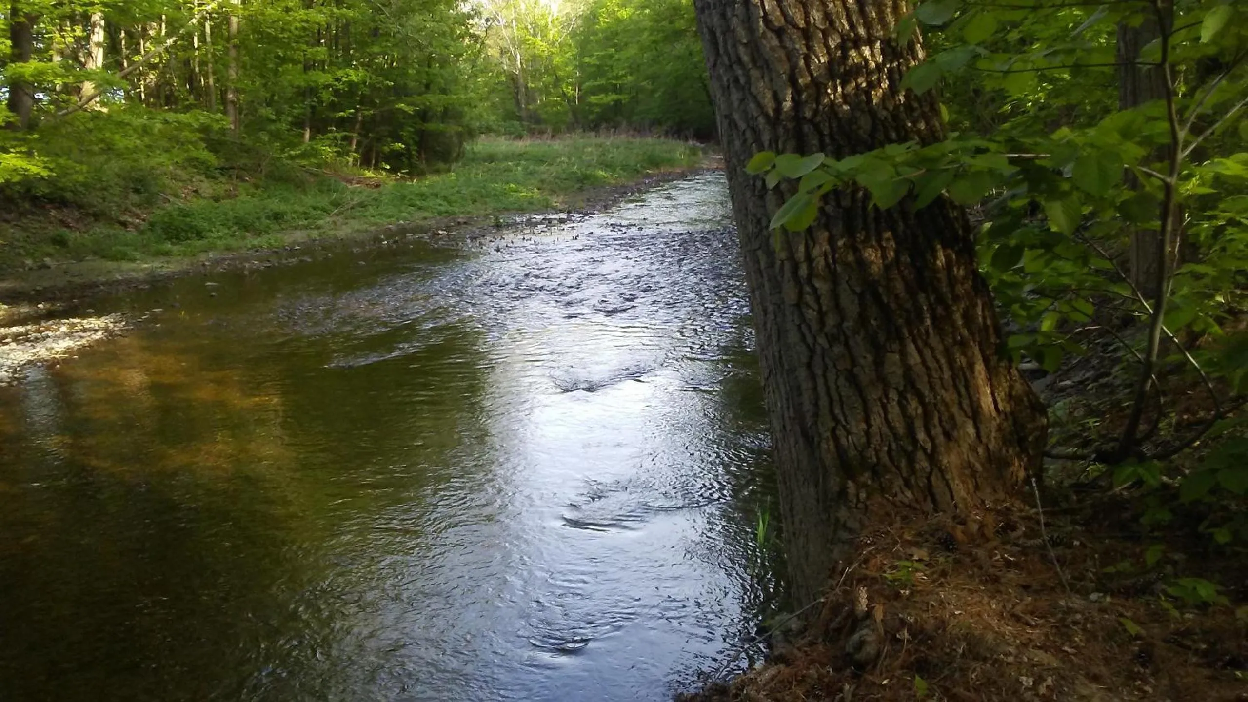 Catskill Motor Court