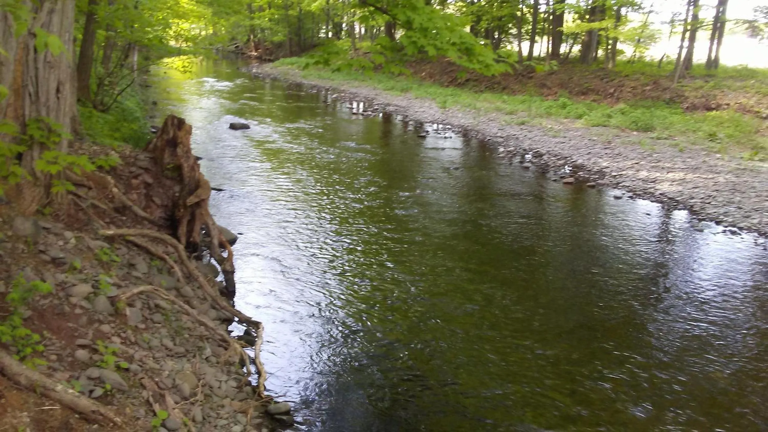 Catskill Motor Court