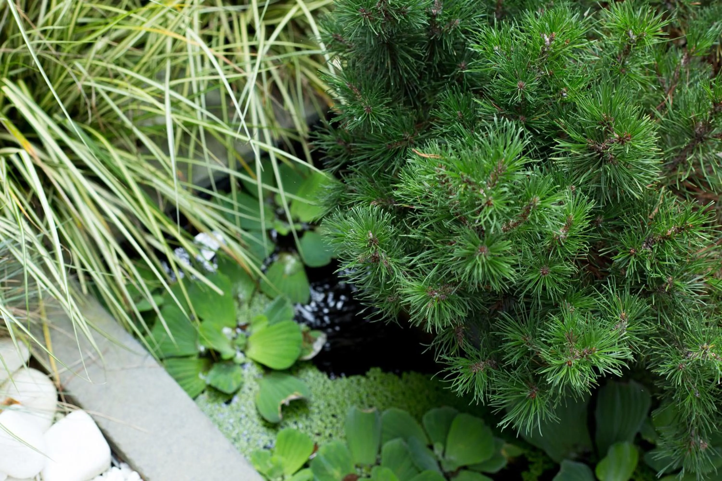 Patio in MAISON KERVARREC - Rennes - Saint-Grégoire
