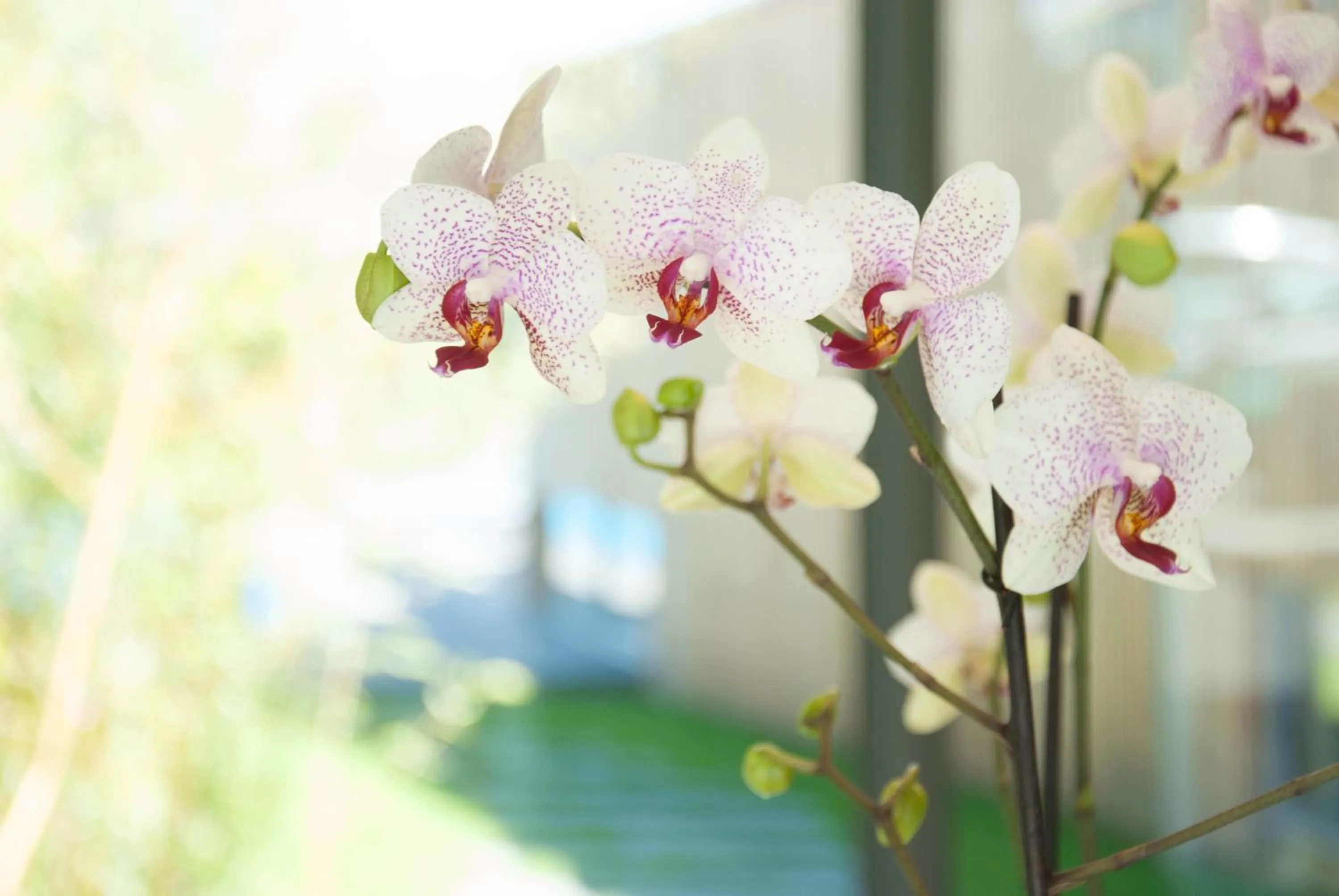 Natural landscape in MAISON KERVARREC - Rennes - Saint-Grégoire