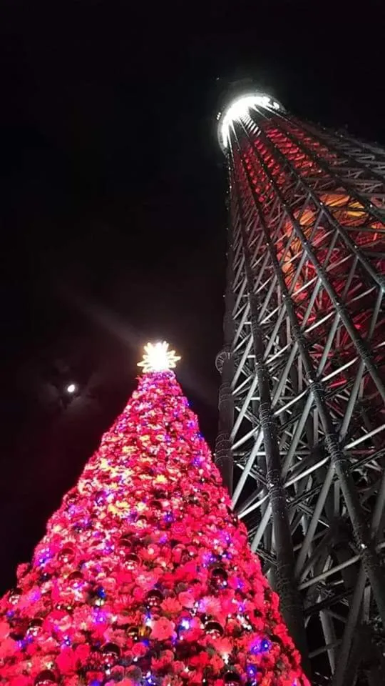 Night in GUEST HOUSE SaKURa