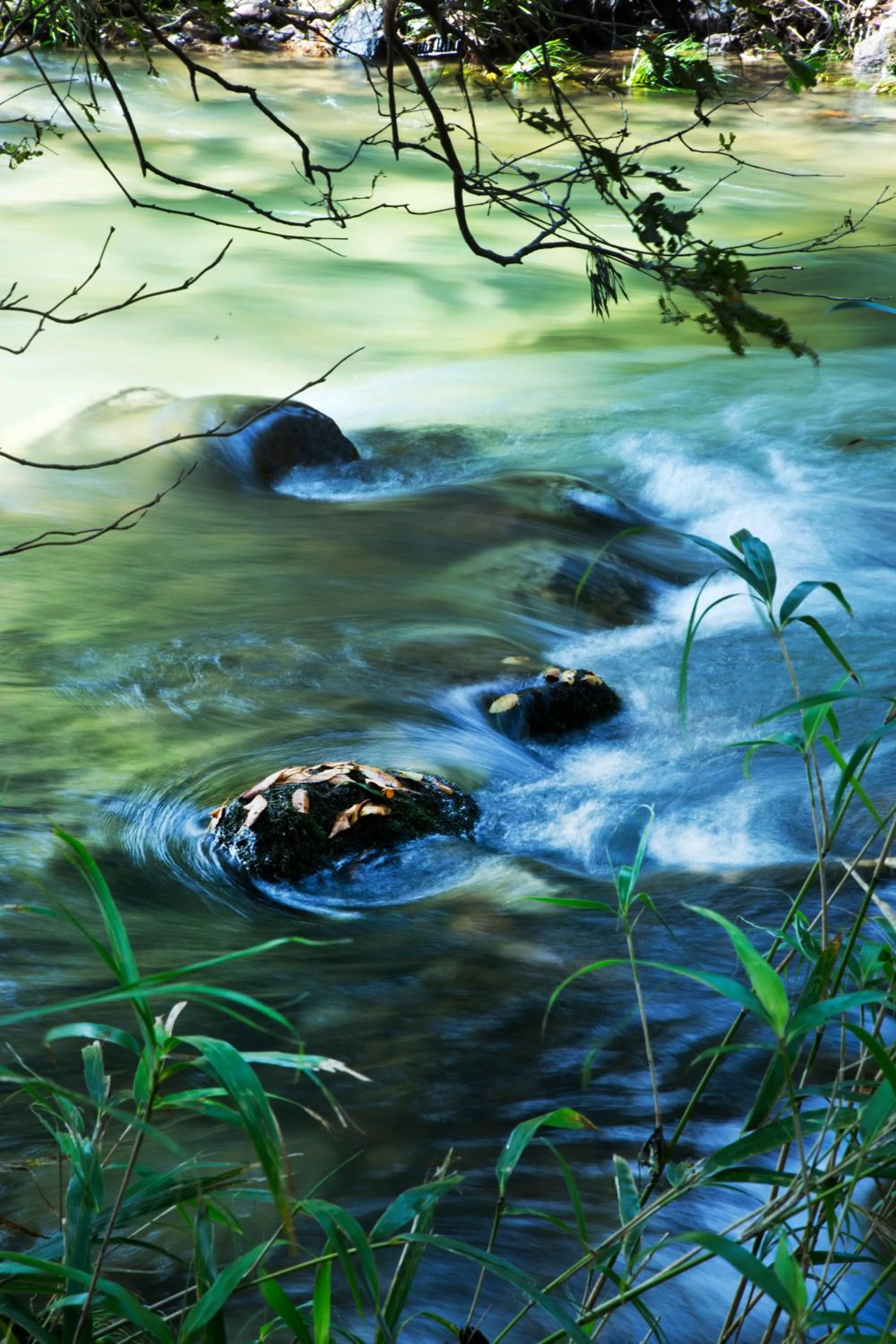 Natural landscape in Seseraginomori Chambre d'hote Etoile et fees