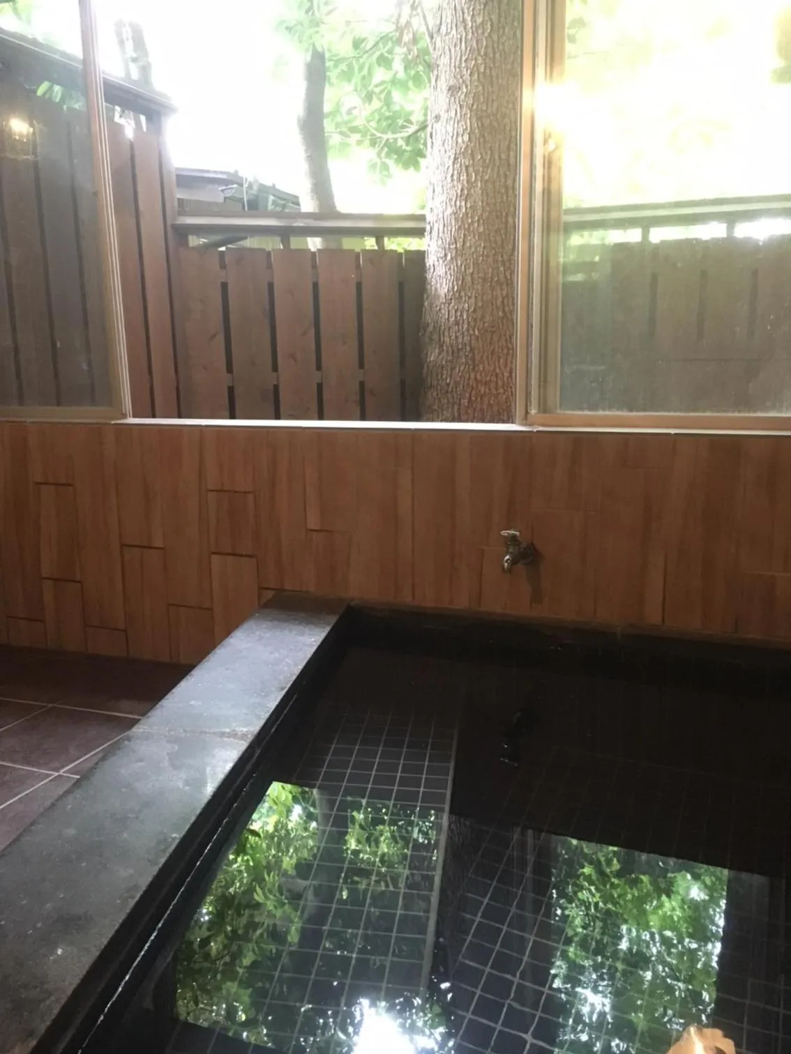 Hot Spring Bath in Seseraginomori Chambre d'hote Etoile et fees