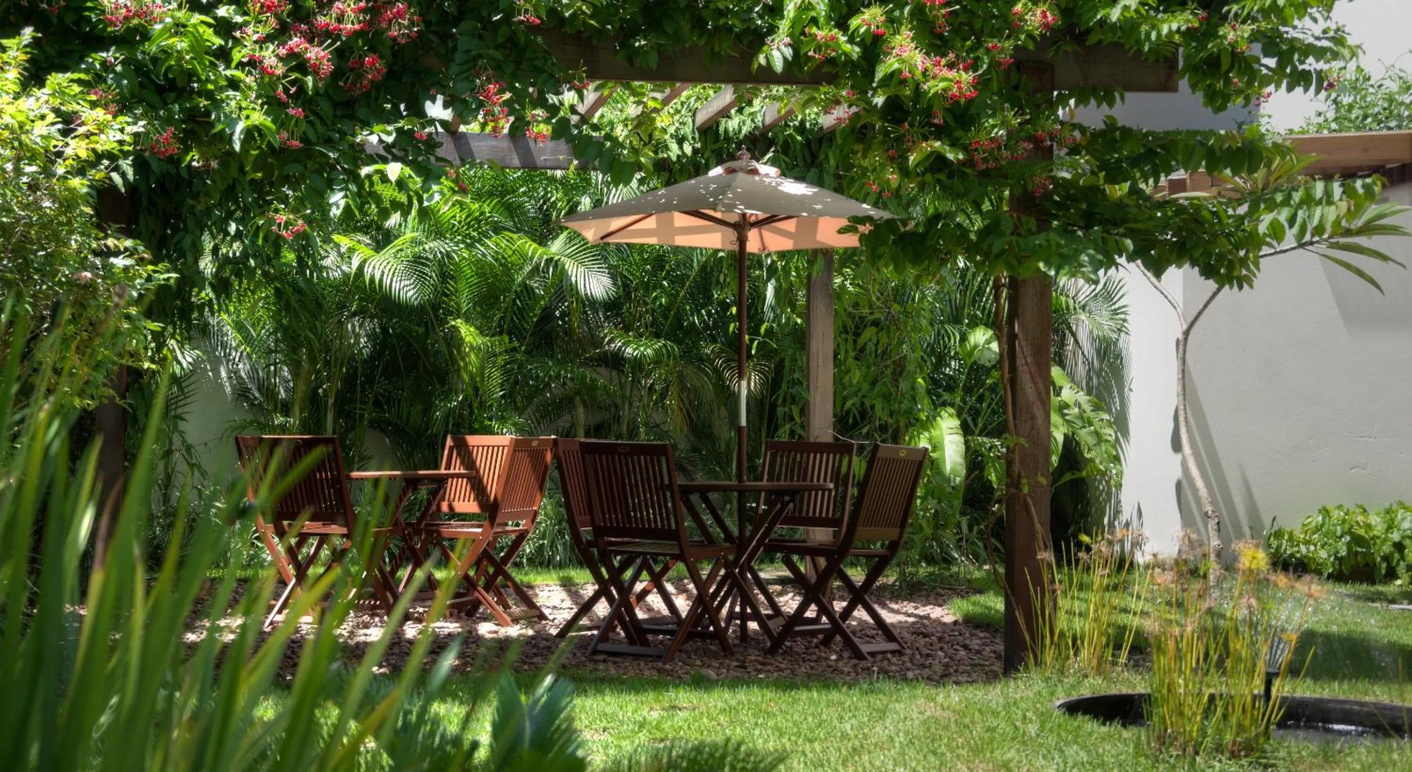 Garden in Pousada Bahia 10