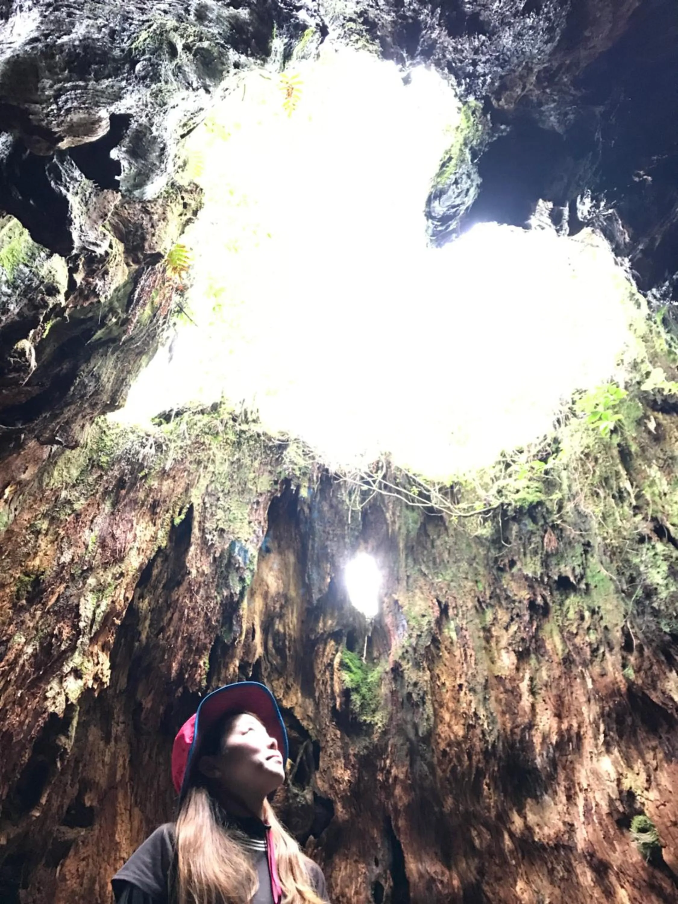 Yakushima Pension Luana House