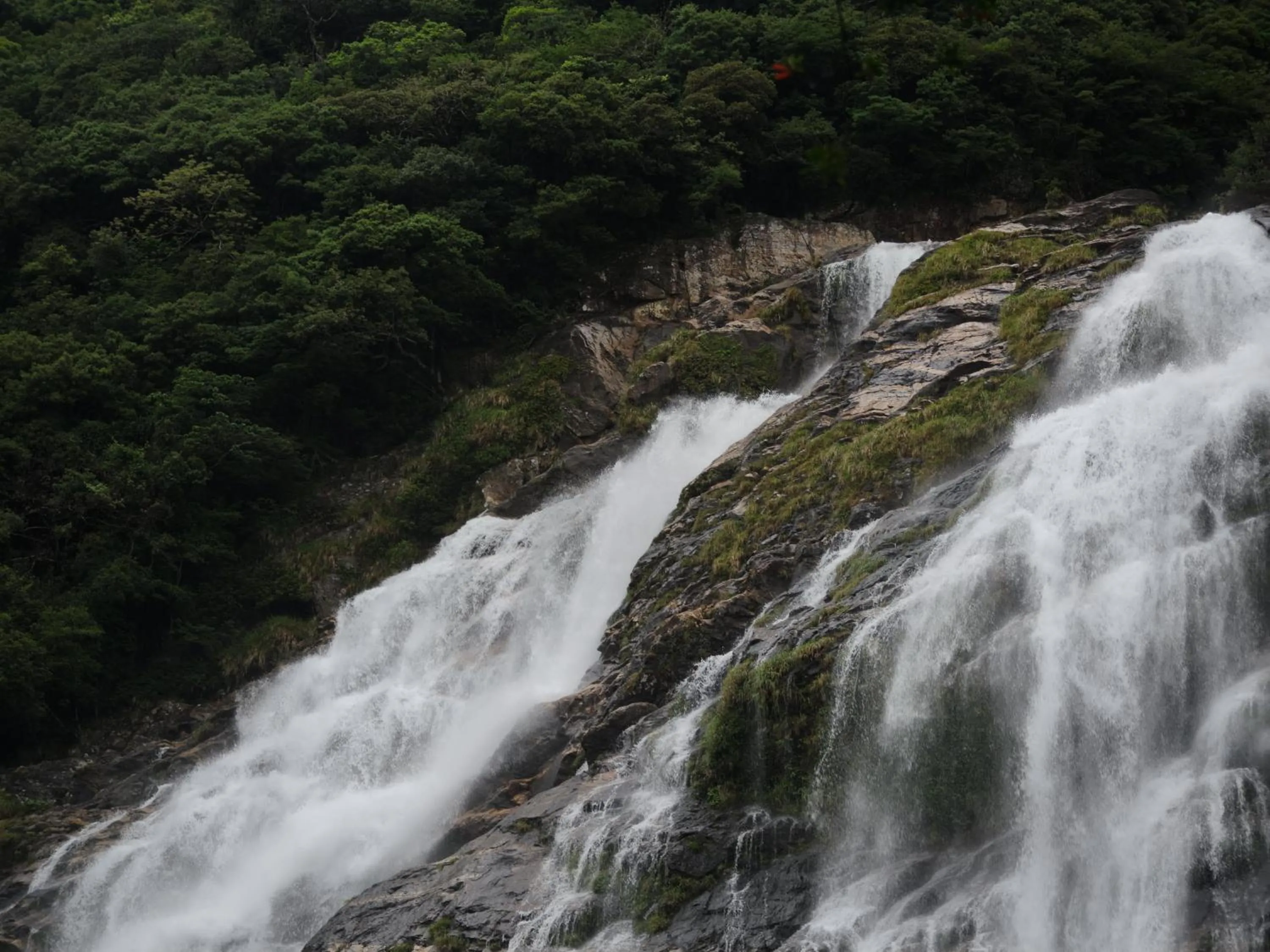 Yakushima Pension Luana House
