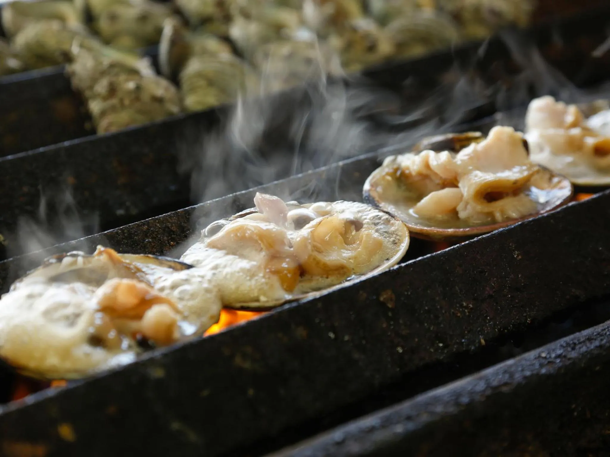 Minato Koyado Awajishima