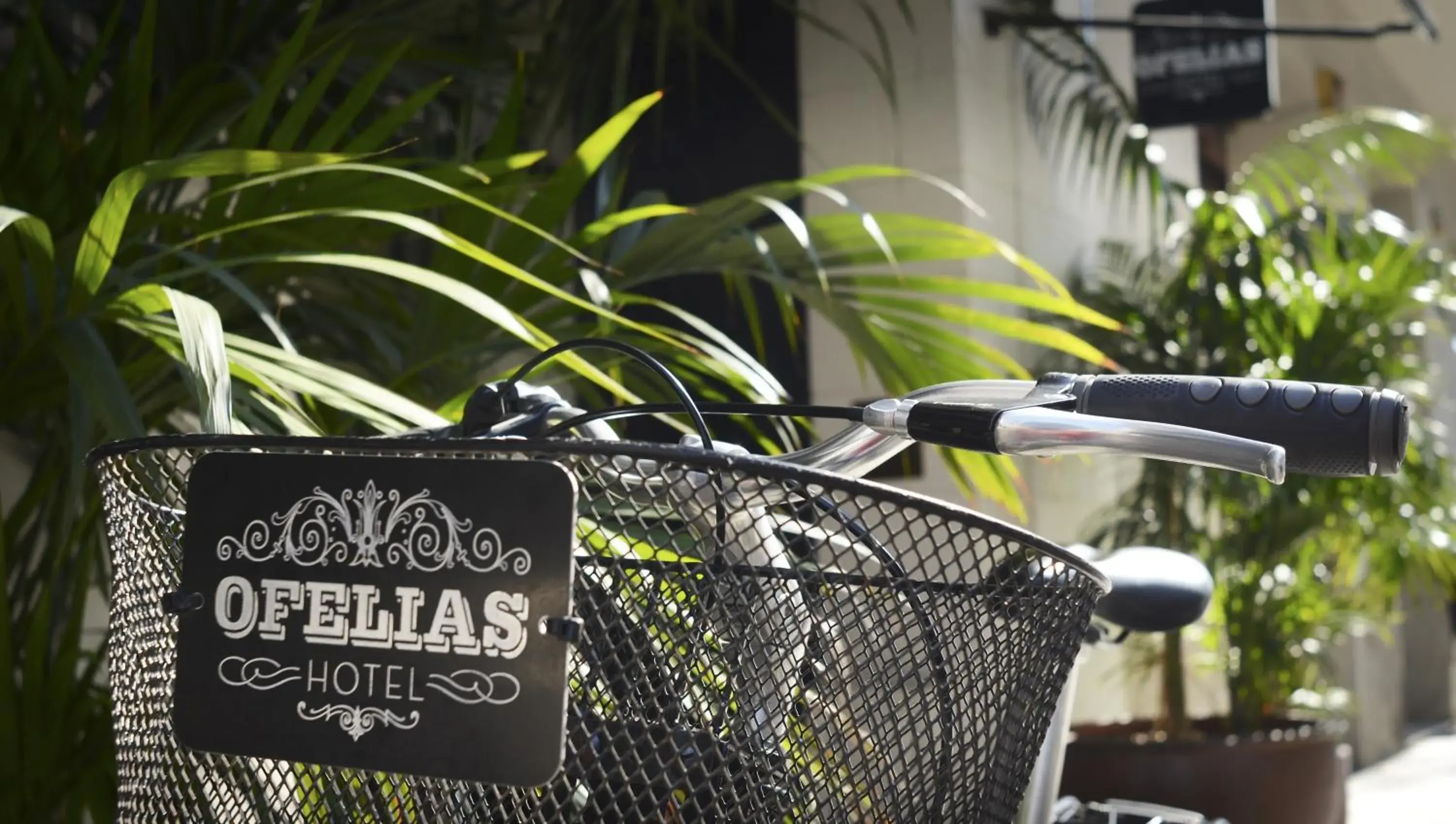 Facade/entrance in Ofelias Hotel 4Sup Facade/entrance in Ofelias Hotel 4Sup