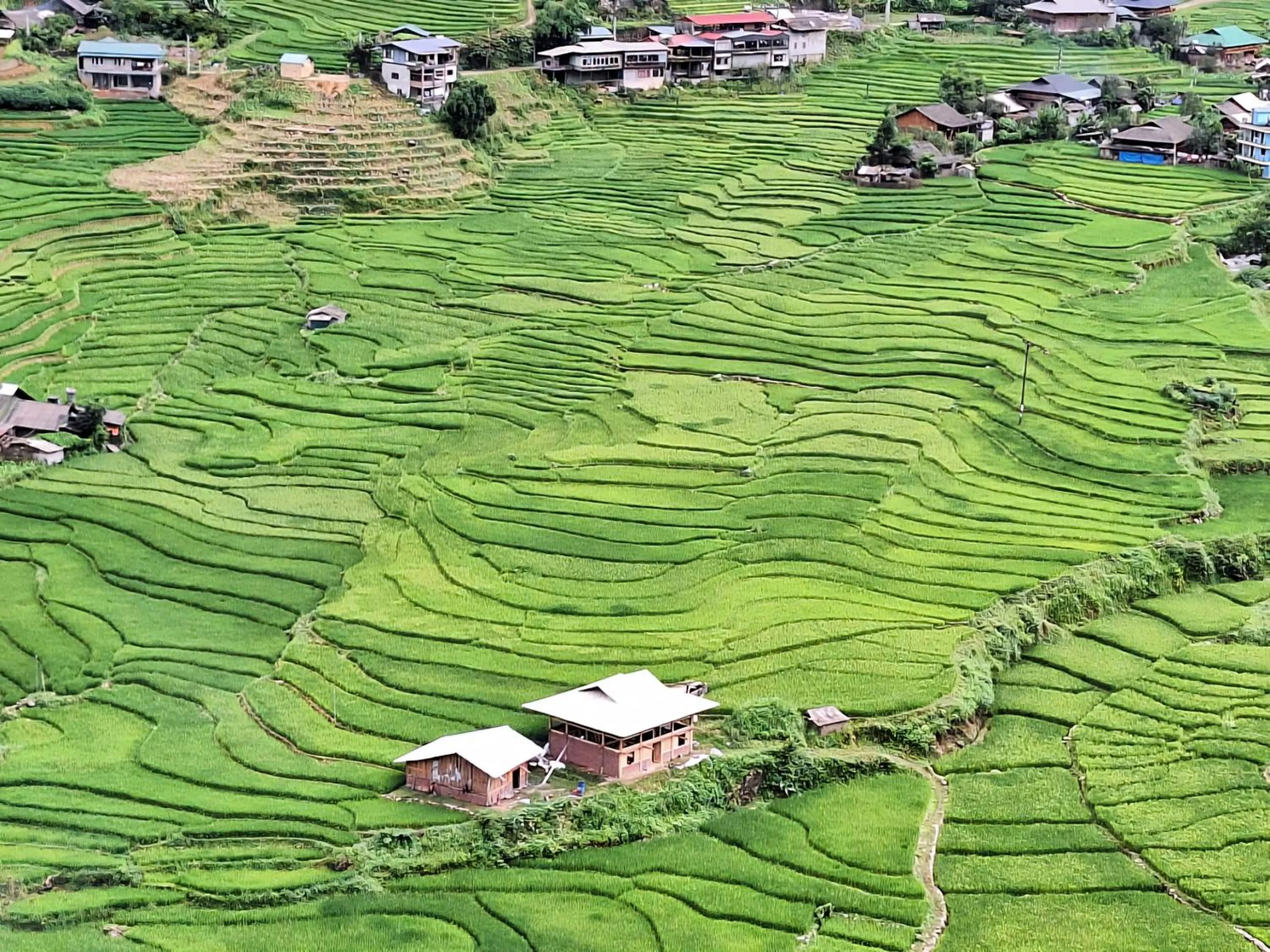 Day in Sapa Tatu Homestay