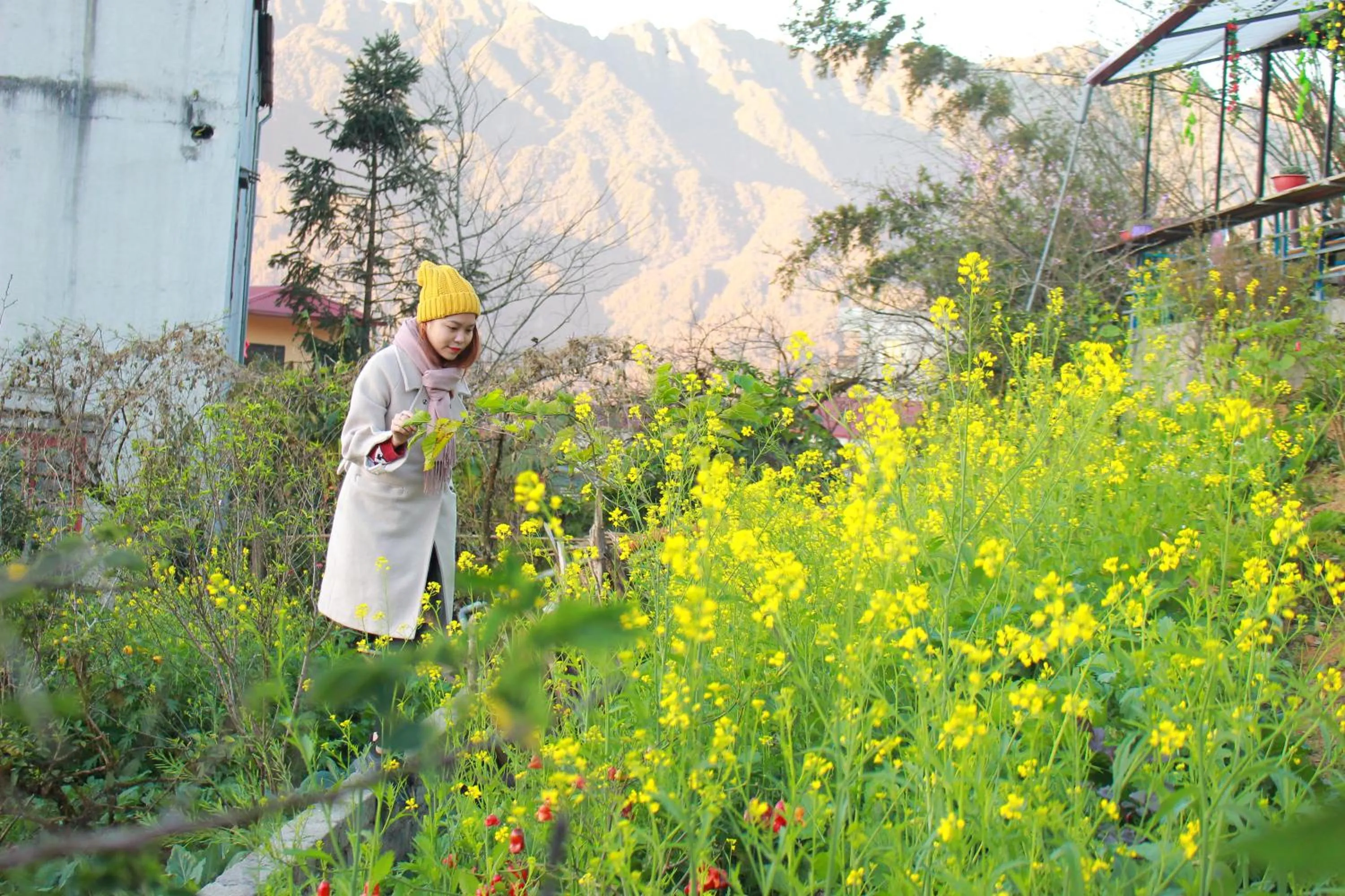 Garden in Sapa Tatu Homestay
