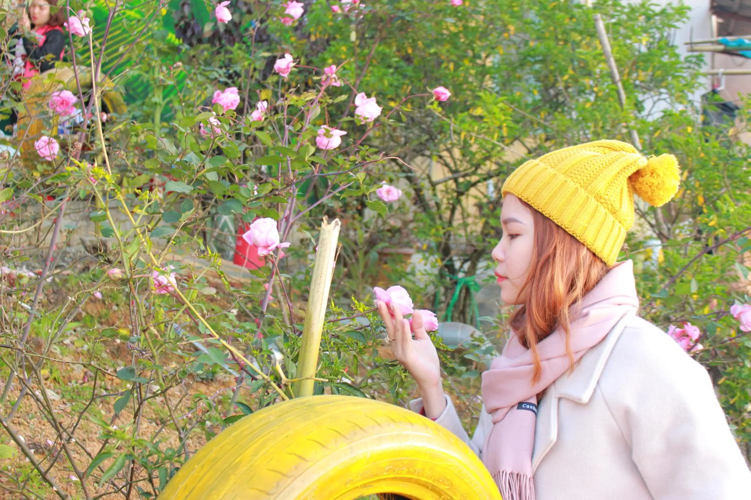 Spring in Sapa Tatu Homestay