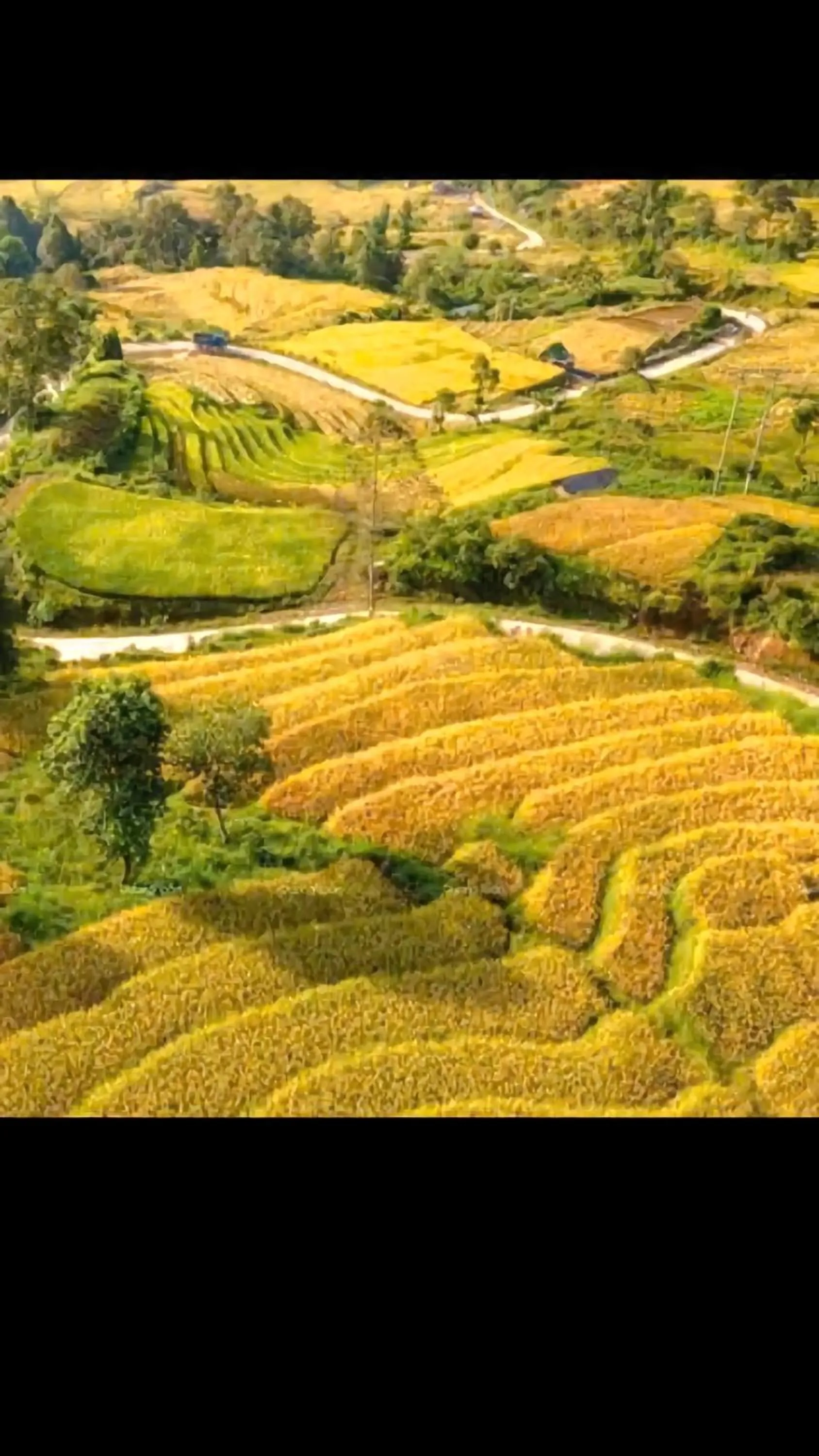 Day in Sapa Tatu Homestay