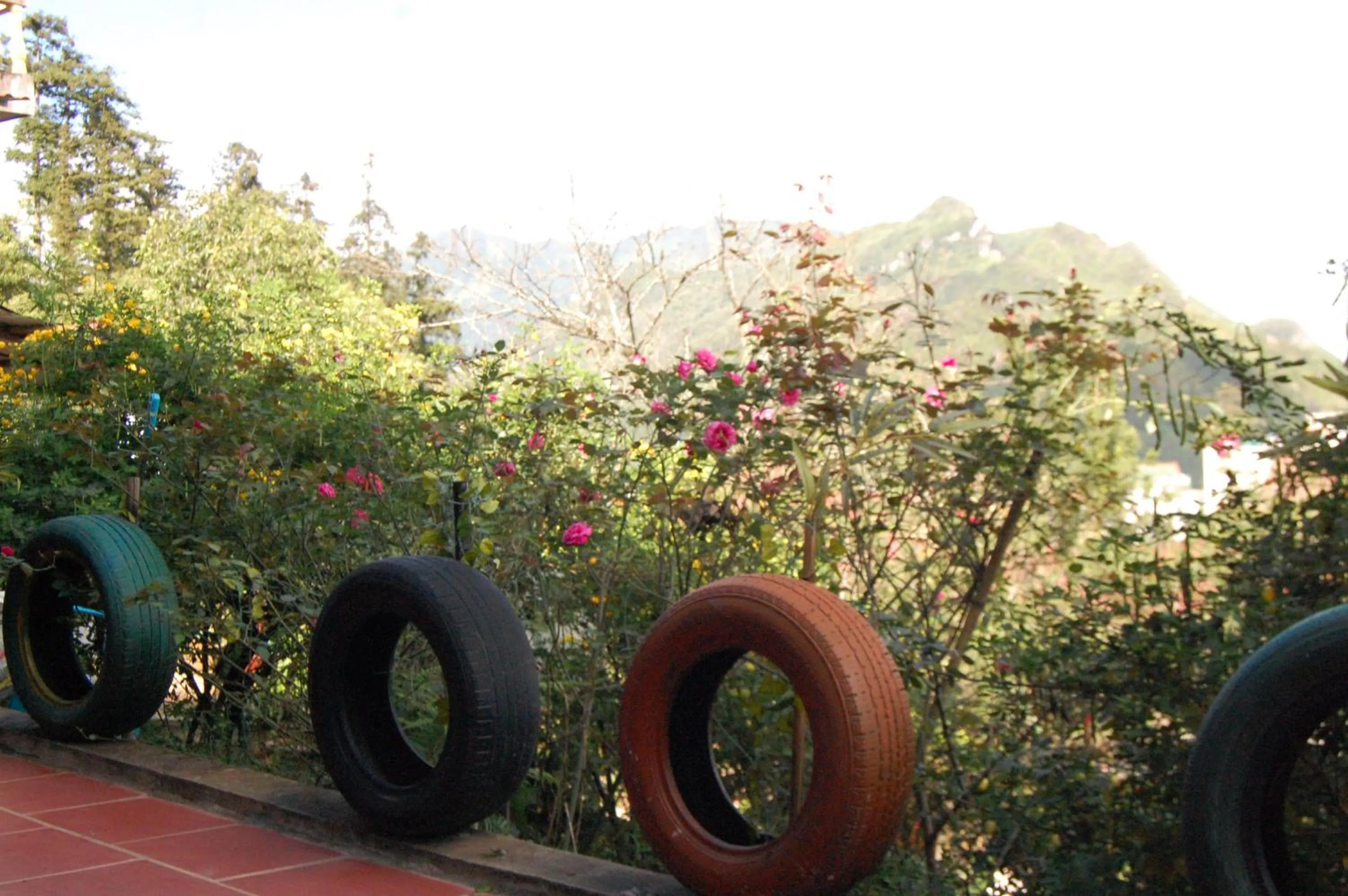 Day in Sapa Tatu Homestay