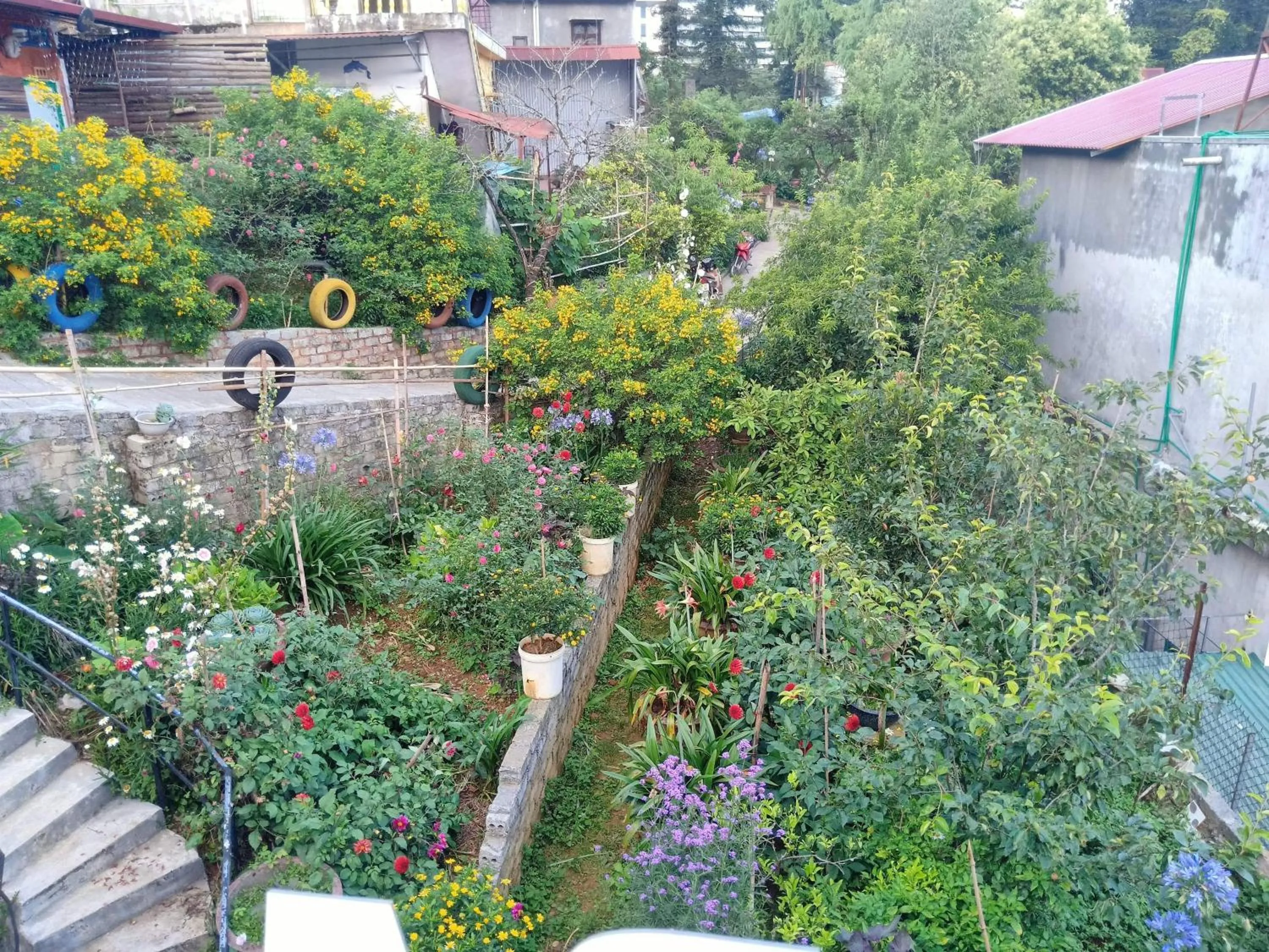 Day in Sapa Tatu Homestay