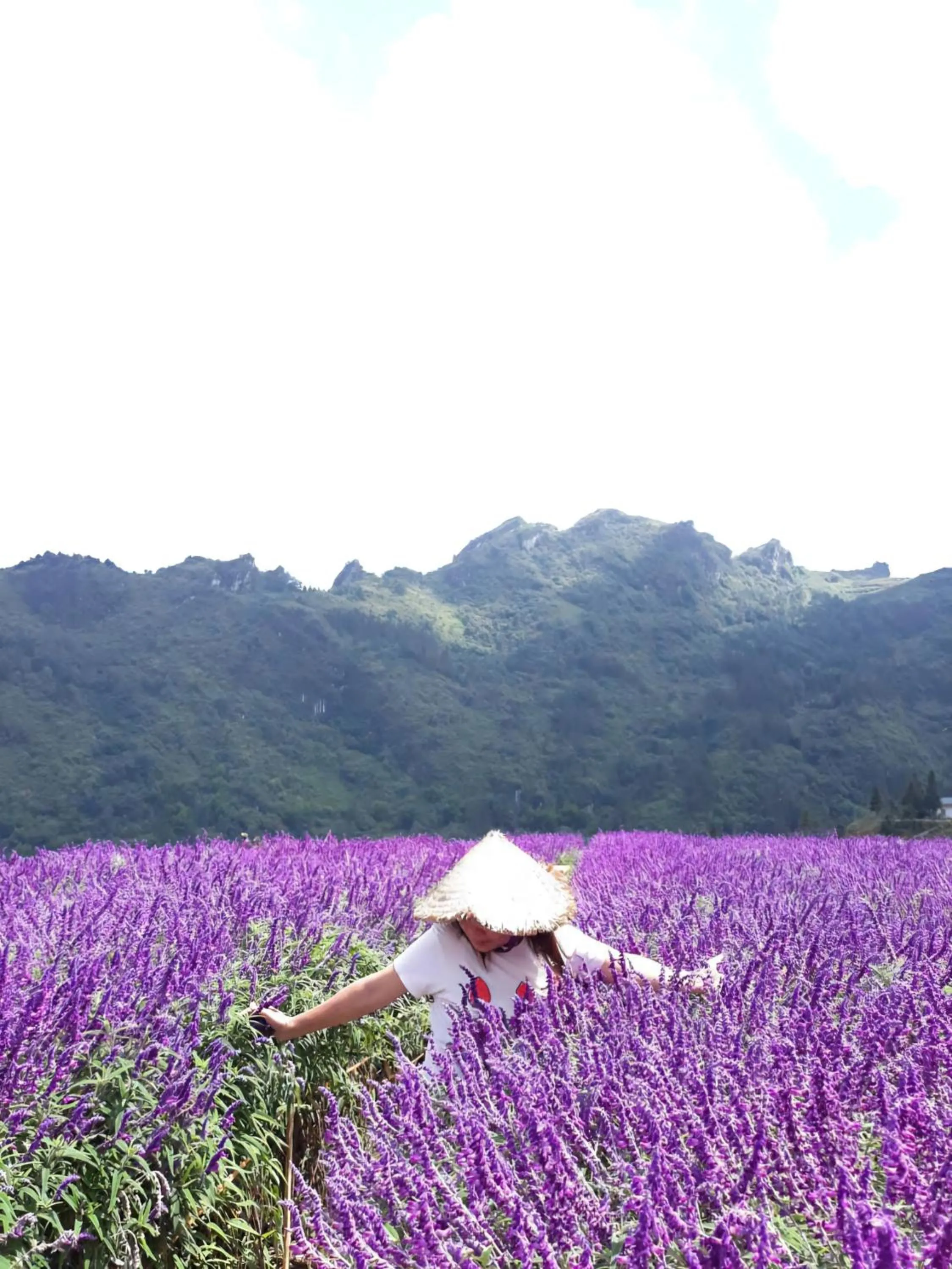 Nearby landmark in Sapa Tatu Homestay