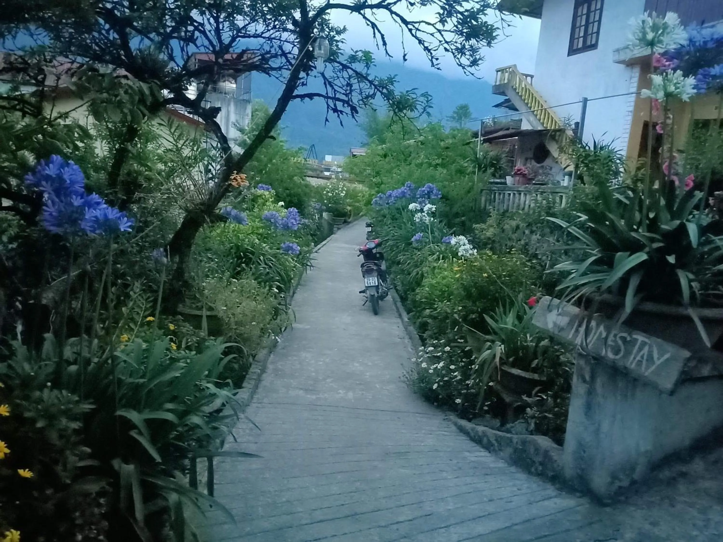 Natural landscape in Sapa Tatu Homestay