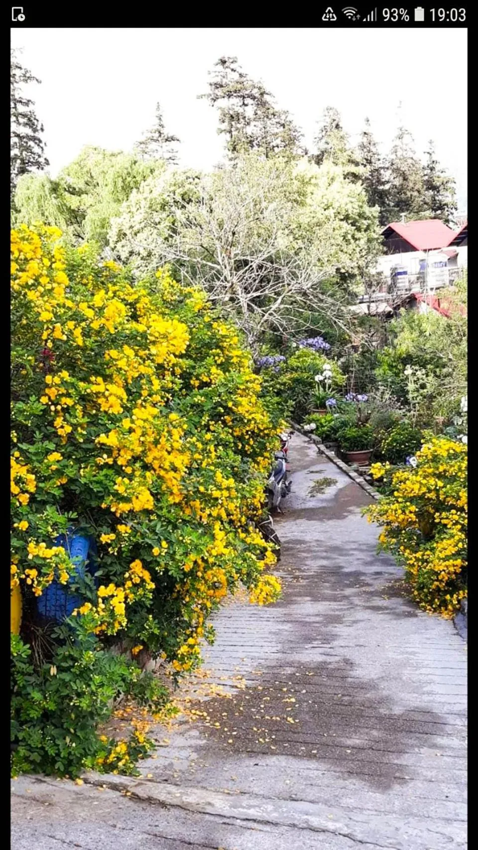 Day in Sapa Tatu Homestay