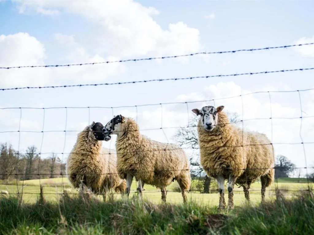 Property building in The Granary at Fawsley