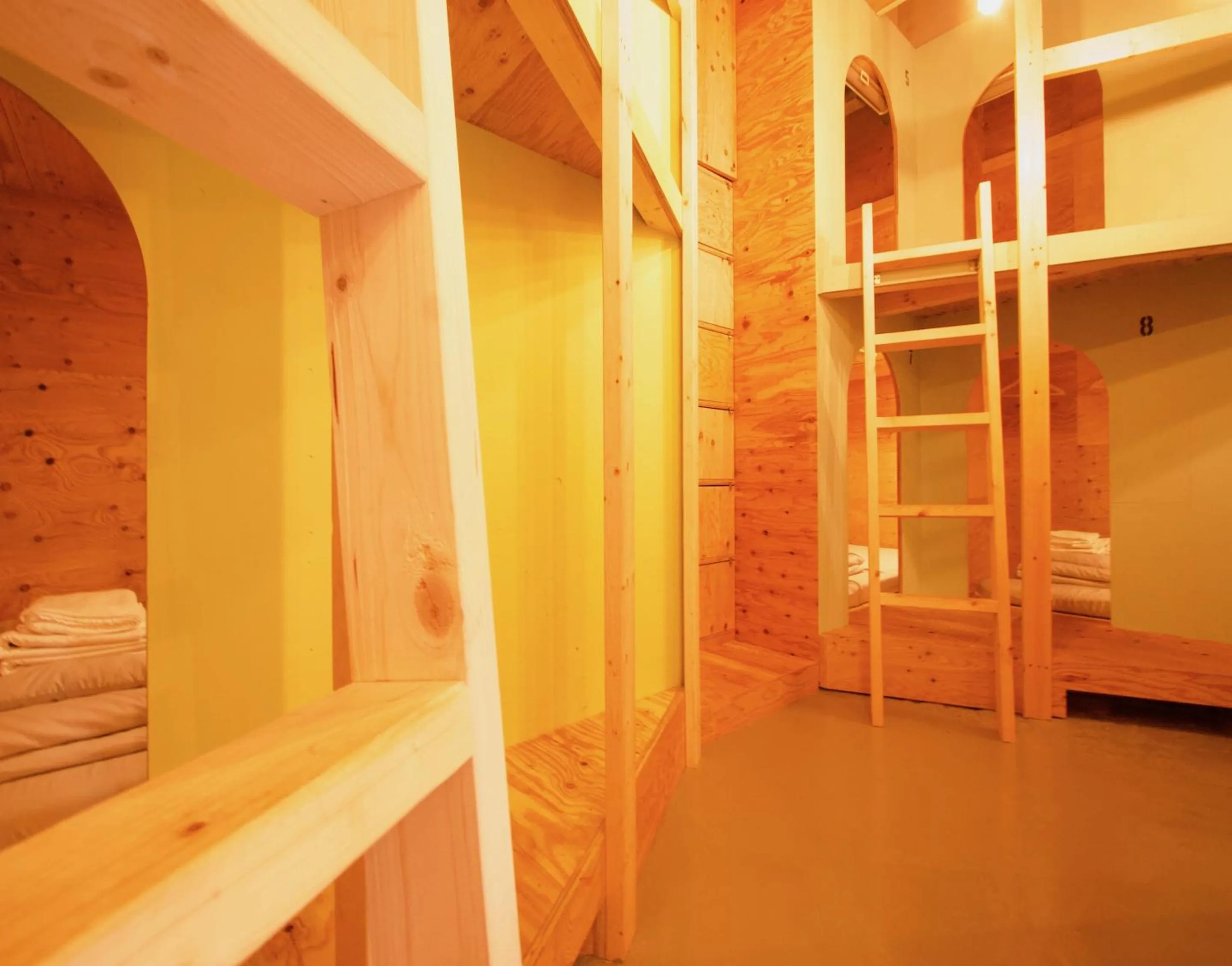 Photo of the whole room, Bed in Ishigaki Guesthouse HIVE