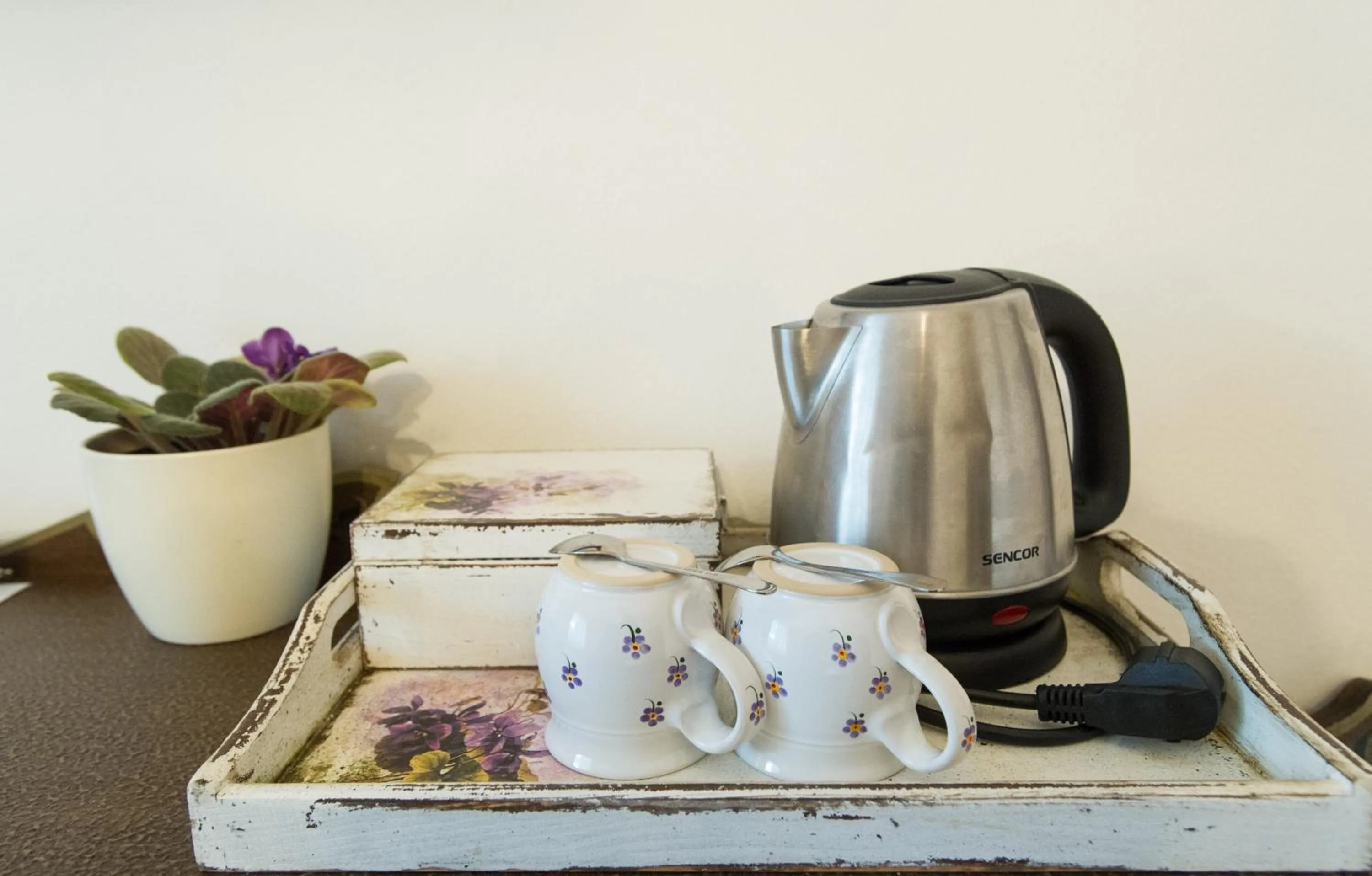 Coffee/tea facilities in Pension Fialka