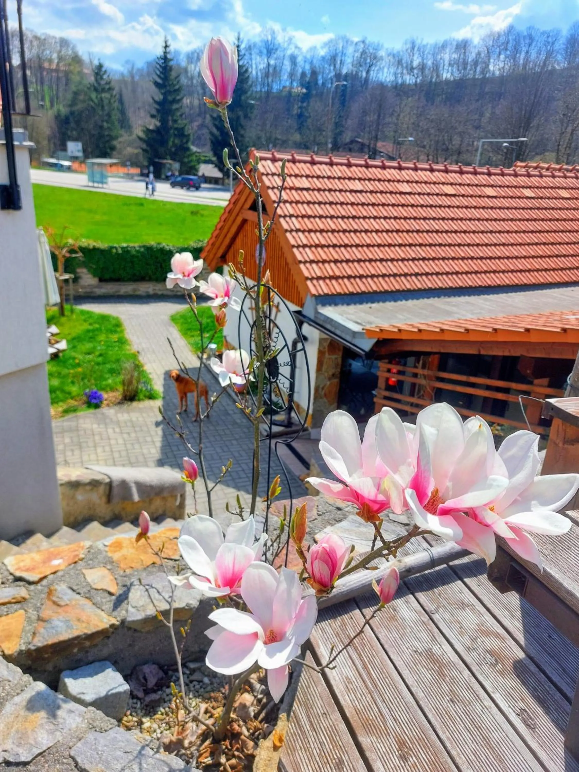 Property building in Pension Fialka