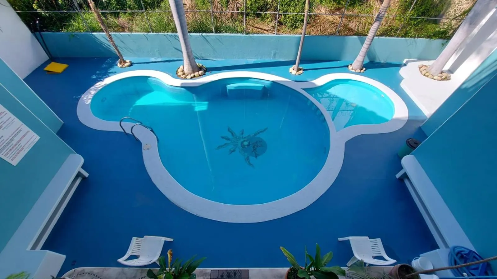 Swimming pool in Delphinus Inn