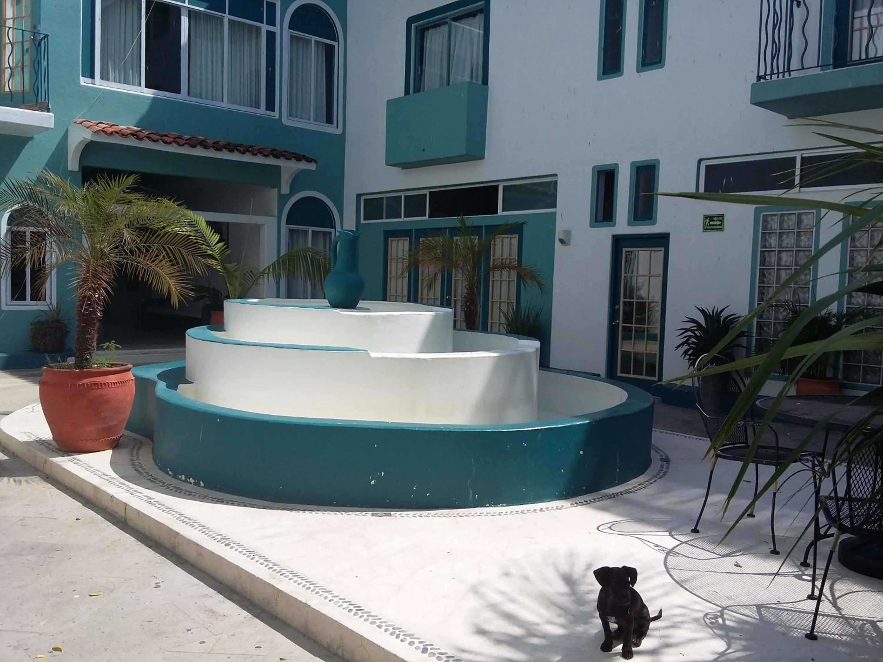 Pets in Delphinus Inn