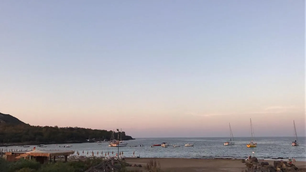 Beach in Hotel Rojas