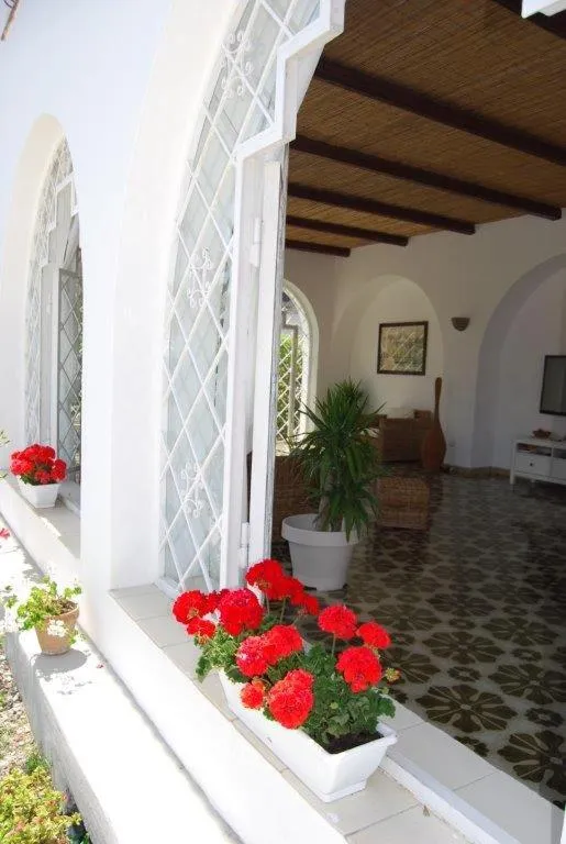 Property building in Hotel Rojas