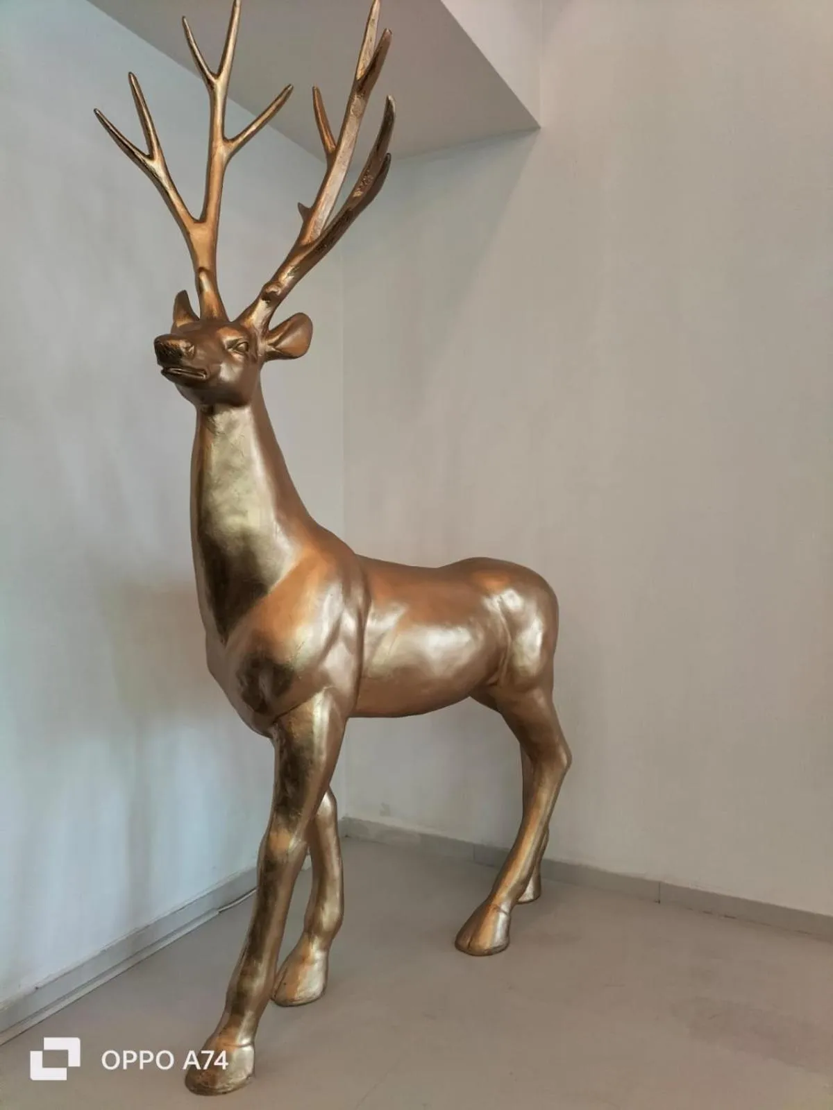 Decorative detail, Other Animals in Andy Grand Hotel