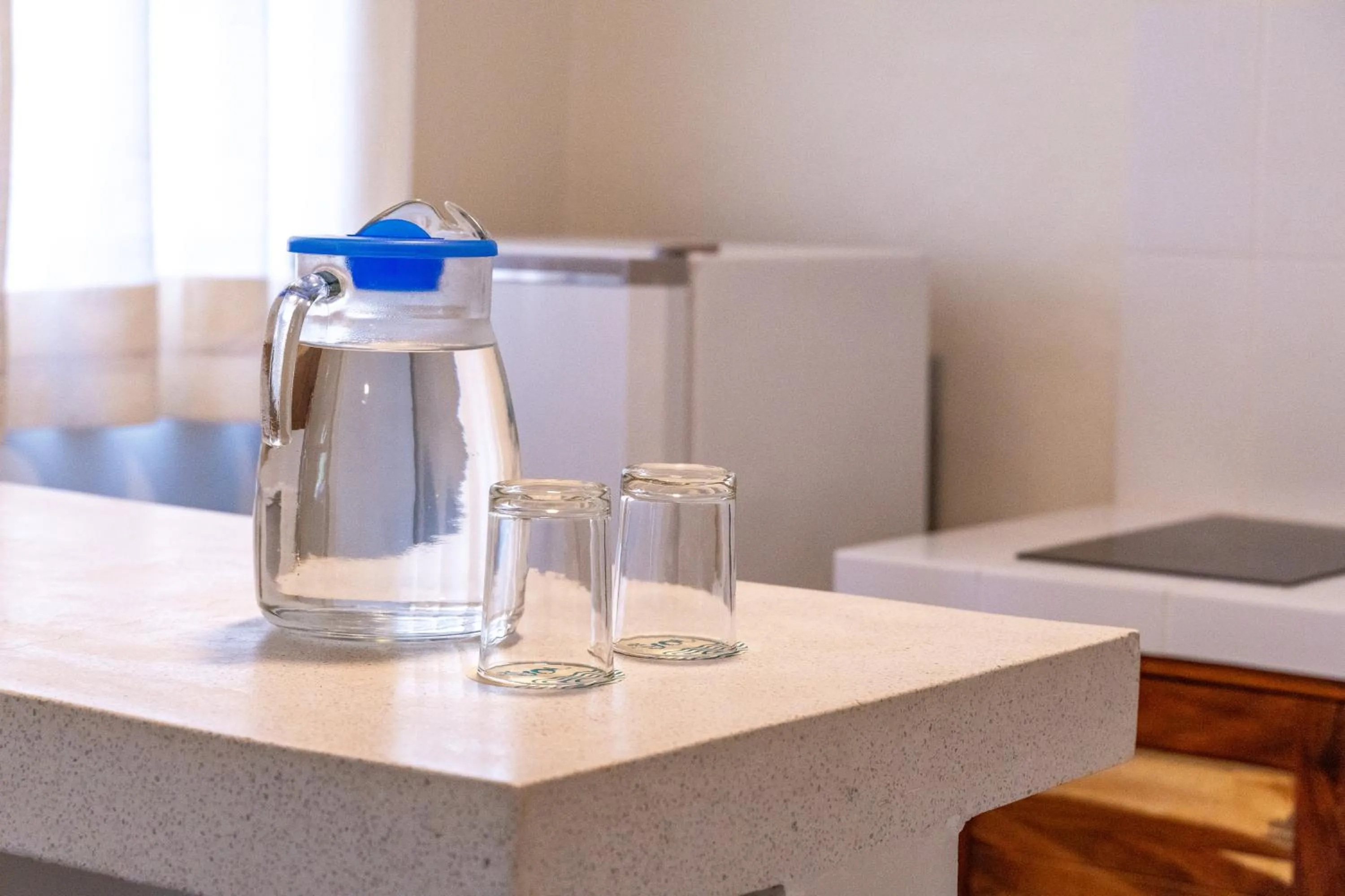 Kitchen or kitchenette in Hotel Suites Villasol