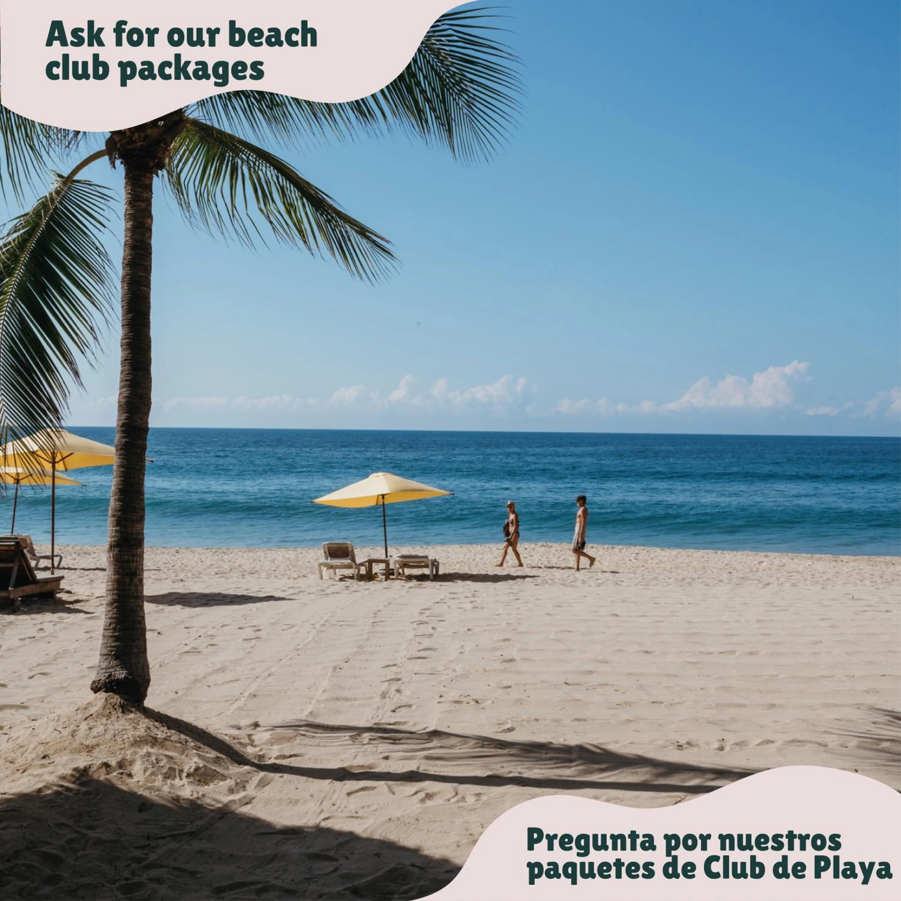 Beach in Hotel Suites Villasol