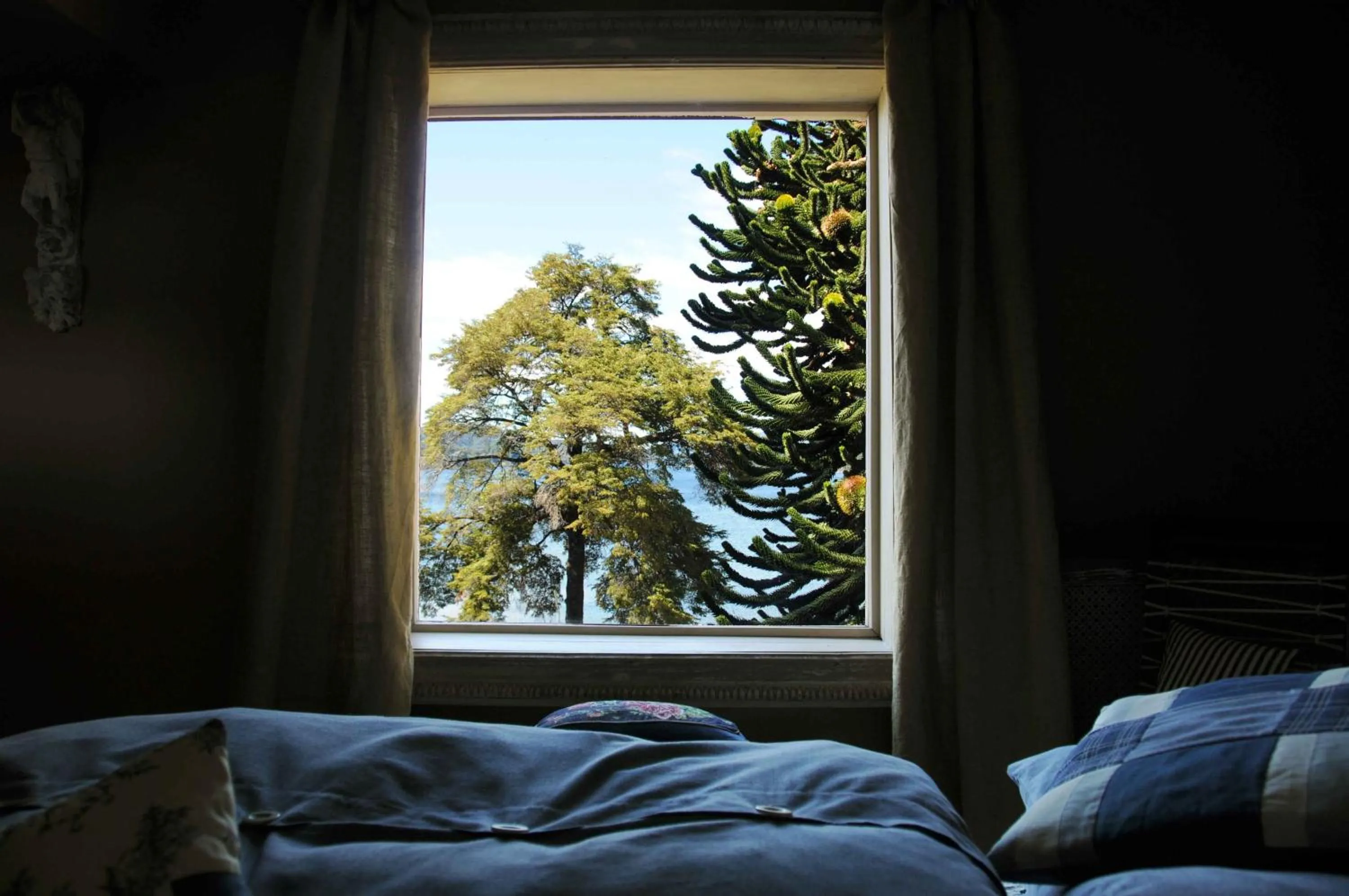 View (from property/room) in Los Juncos Patagonian Lake House