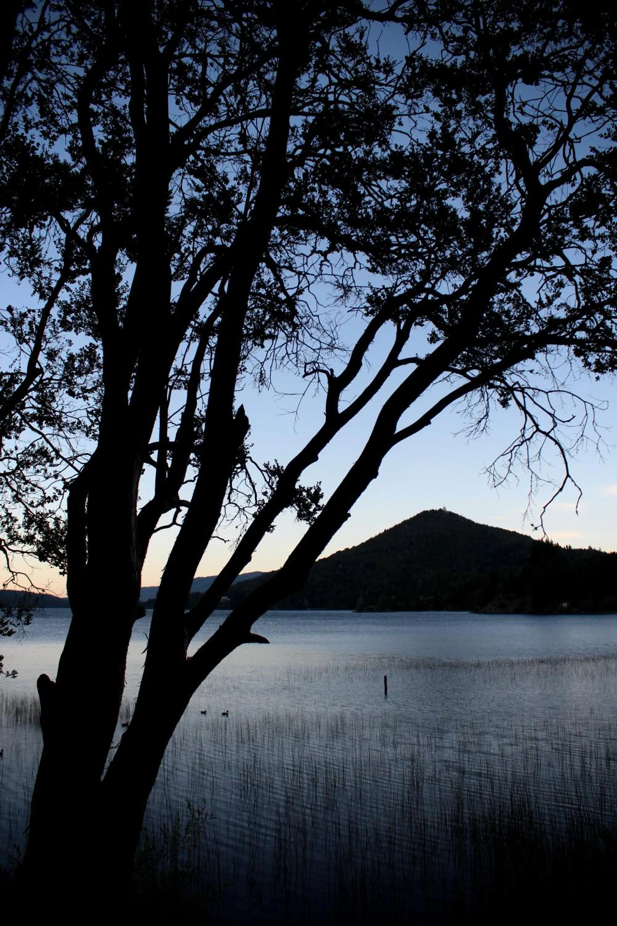 Area and facilities in Los Juncos Patagonian Lake House