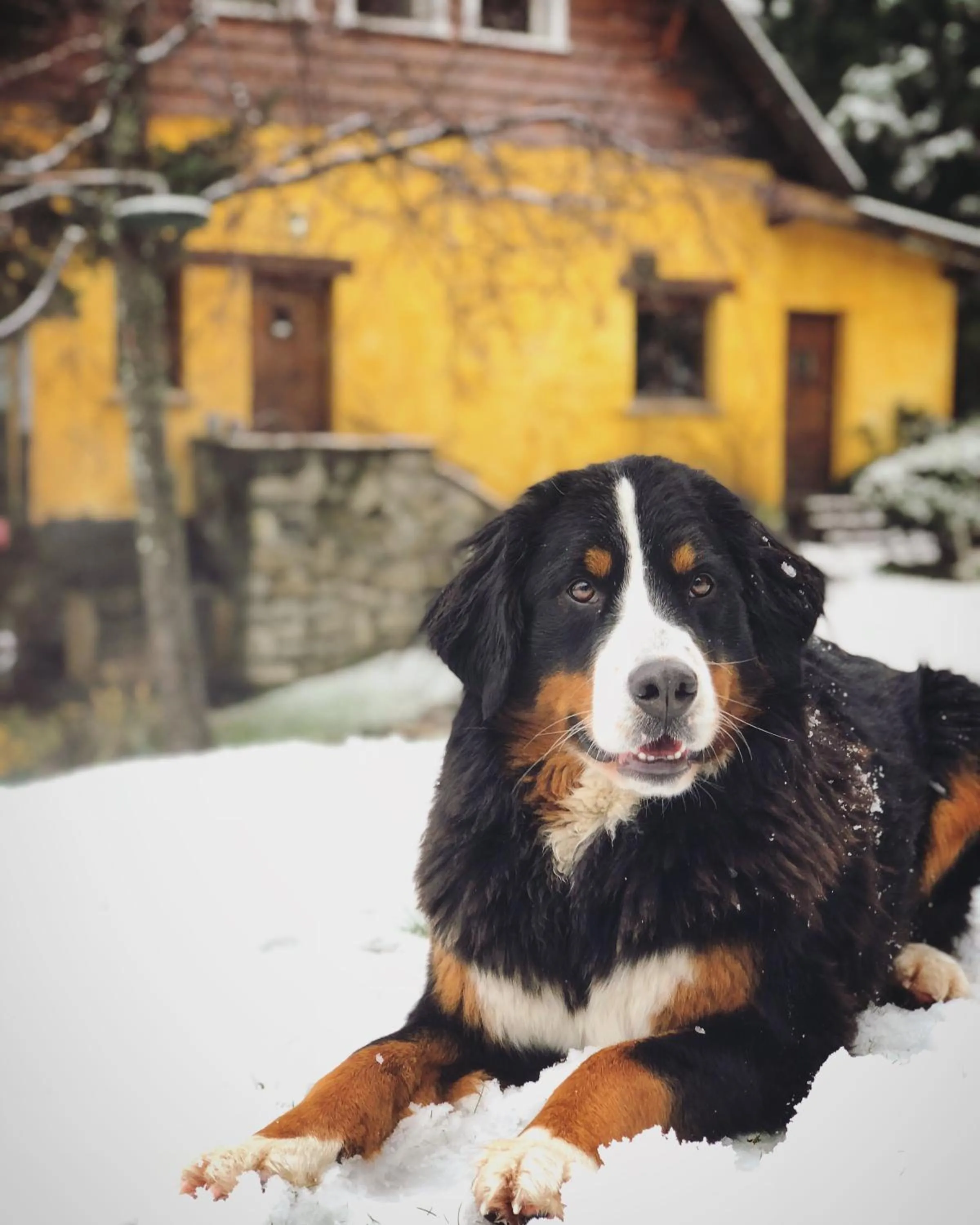 Winter in Los Juncos Patagonian Lake House