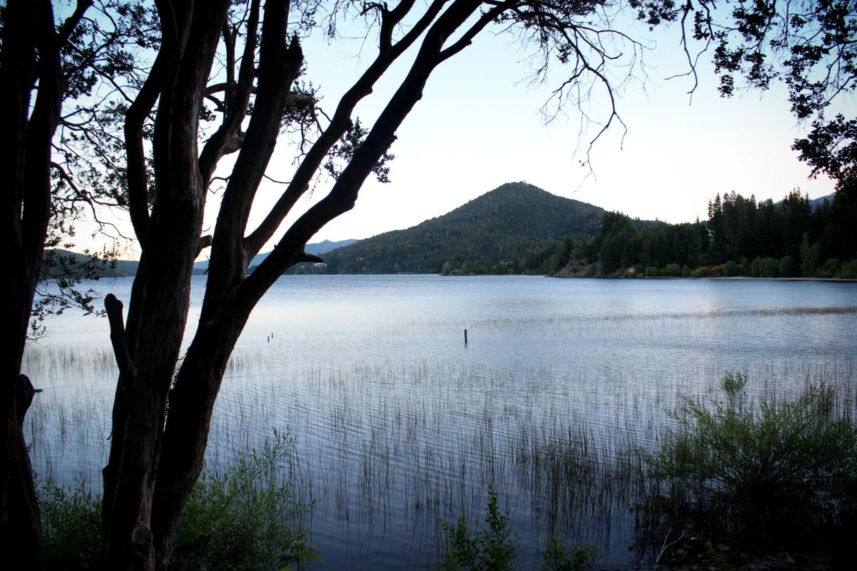 View (from property/room) in Los Juncos Patagonian Lake House