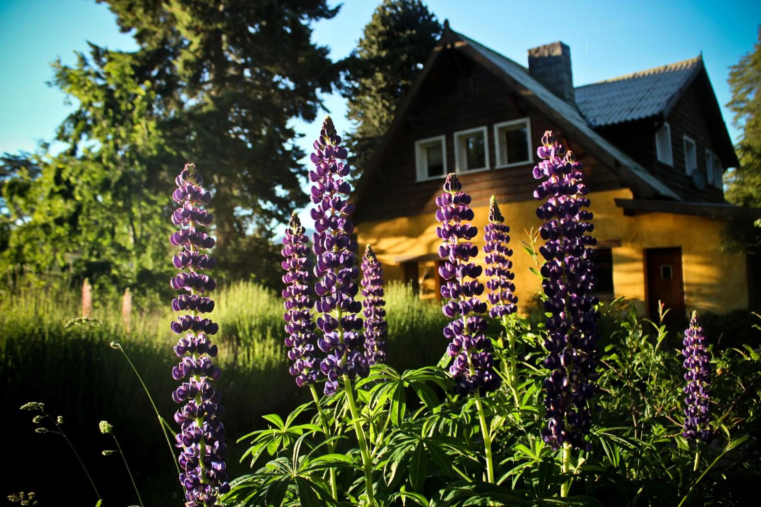 Facade/entrance in Los Juncos Patagonian Lake House