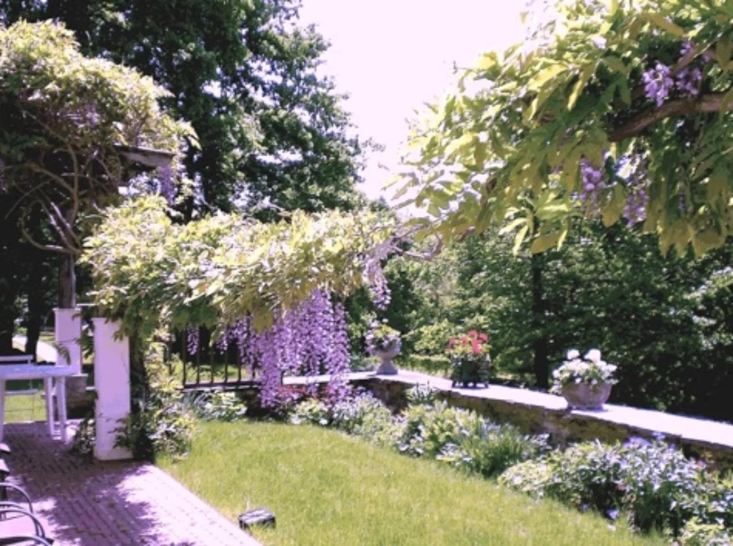 King Room with Garden View in Whistler's Inn
