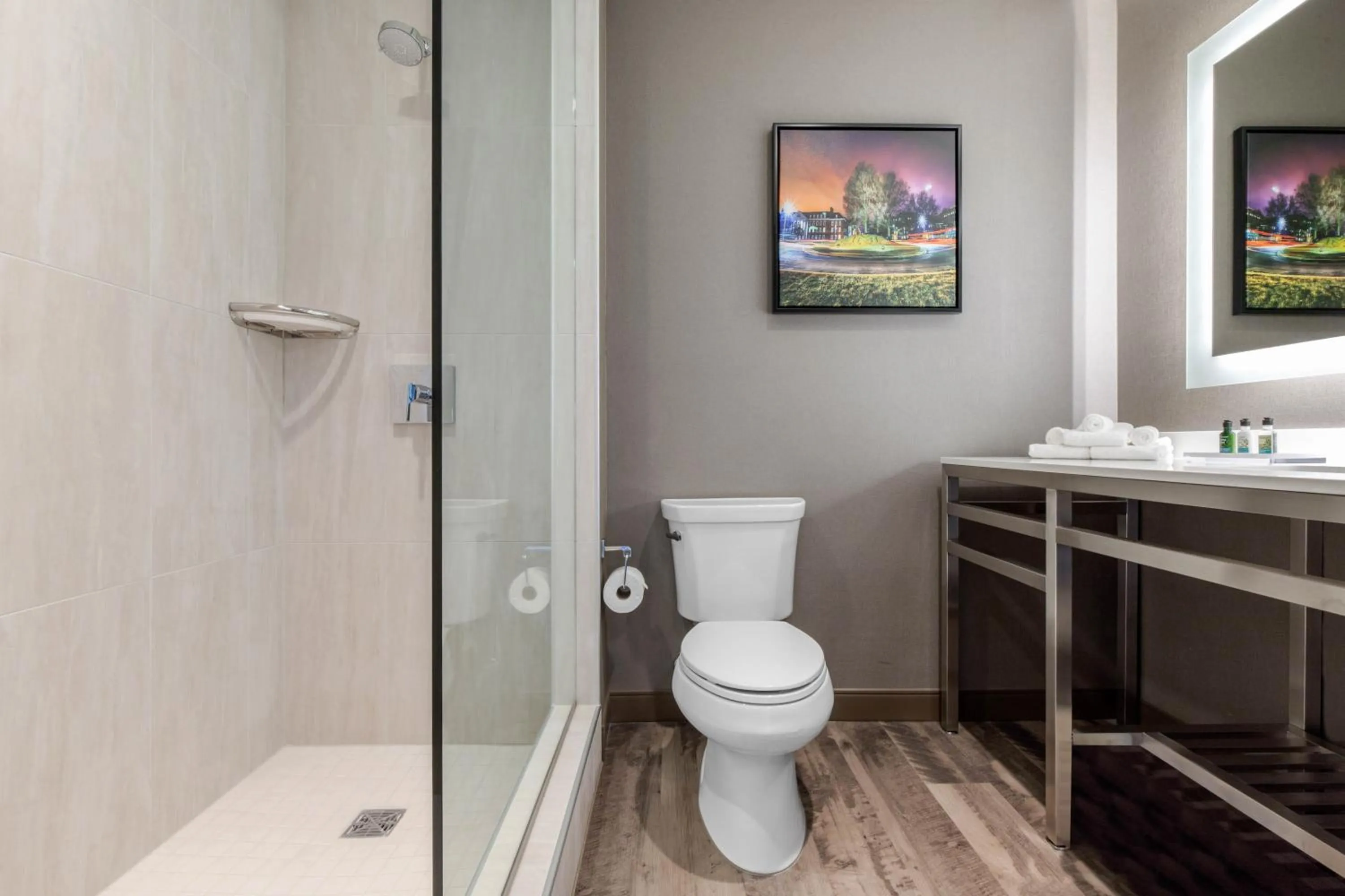 Bathroom in Cambria Hotel College Park