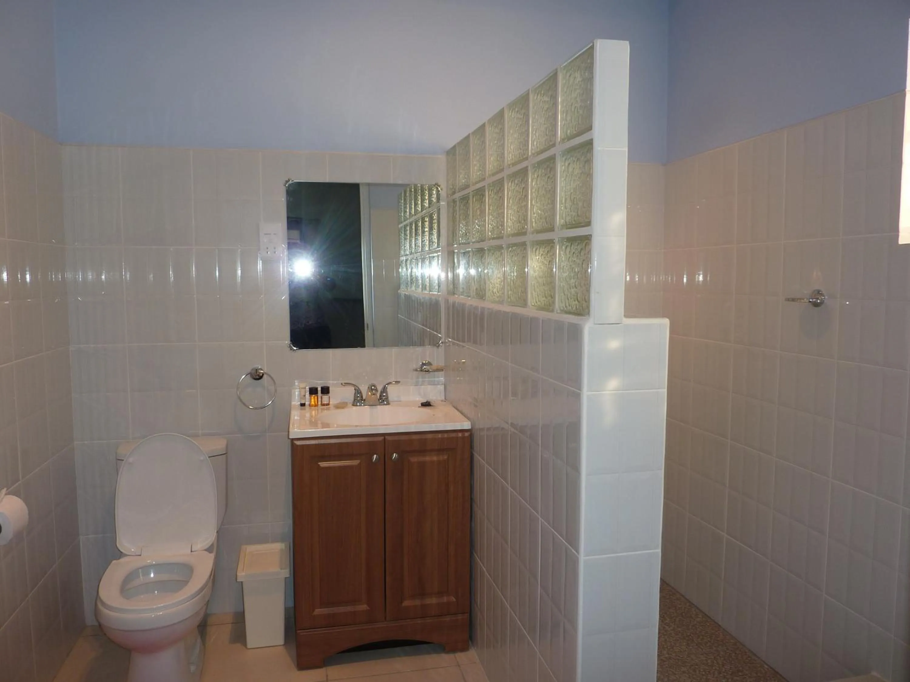 Bathroom in La Heliconia & Day Spa