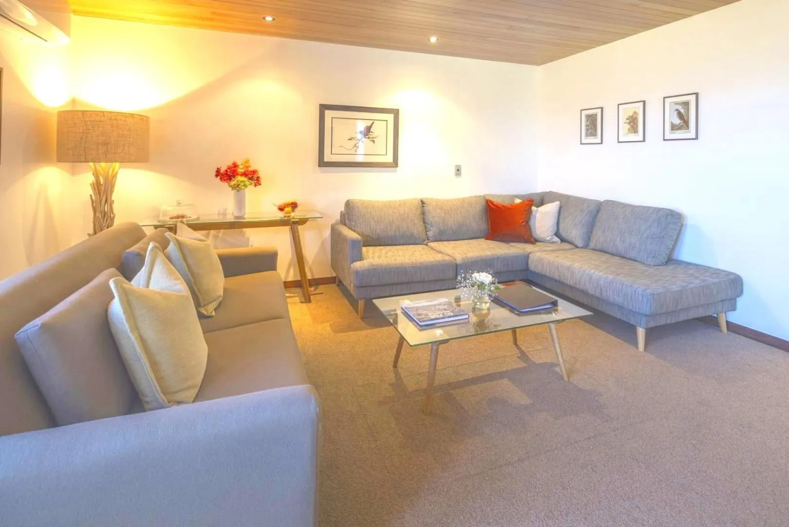 Living room in Cabot Lodge - Fiordland National Park