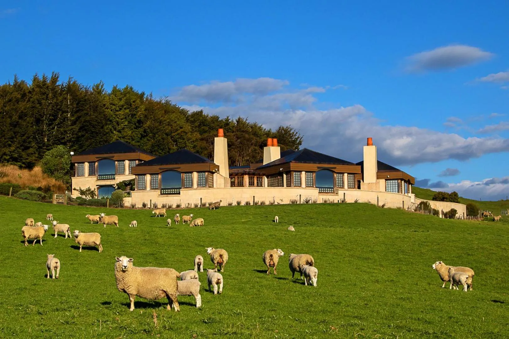 Property building in Cabot Lodge - Fiordland National Park