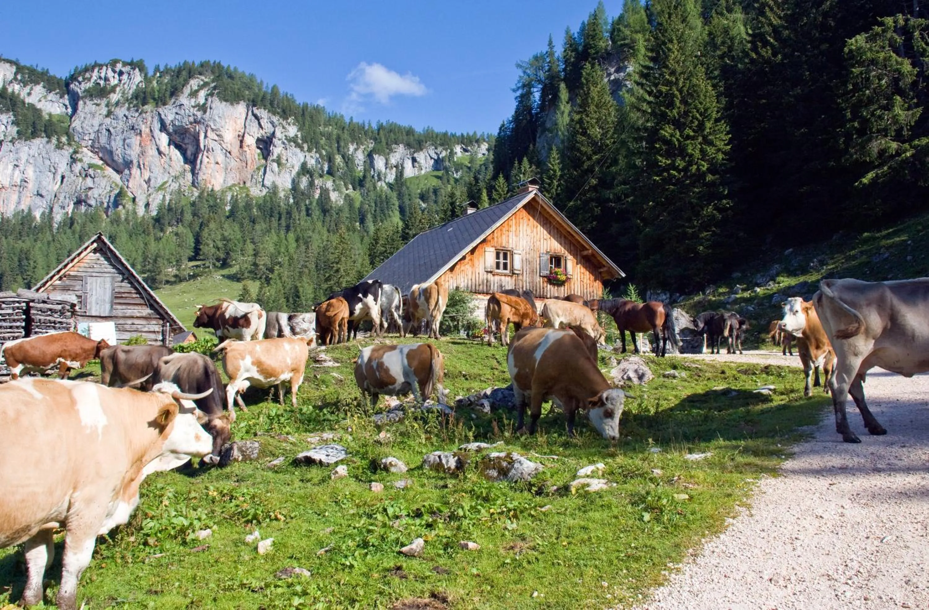 Hiking in ALPRIMA Aparthotel Hinterstoder