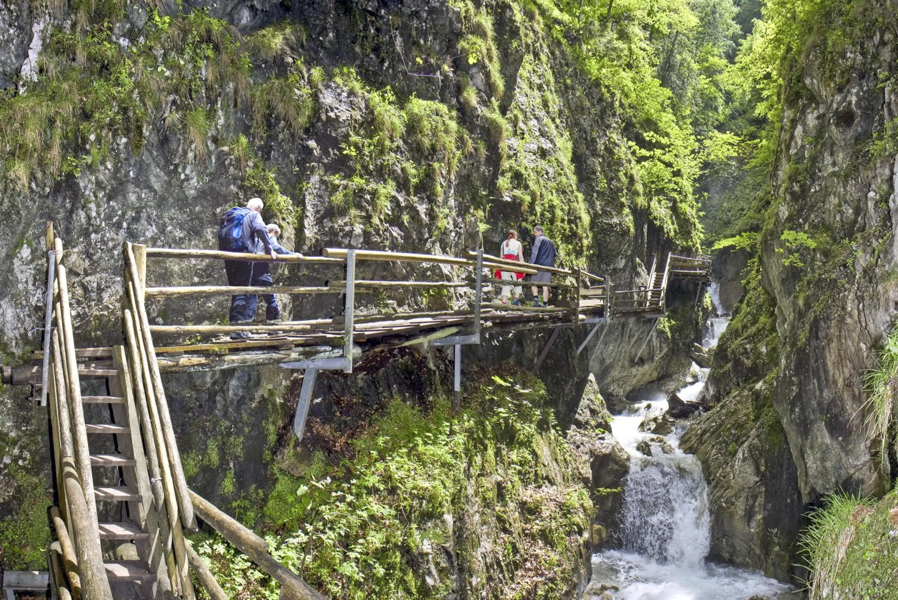 Natural landscape in ALPRIMA Aparthotel Hinterstoder