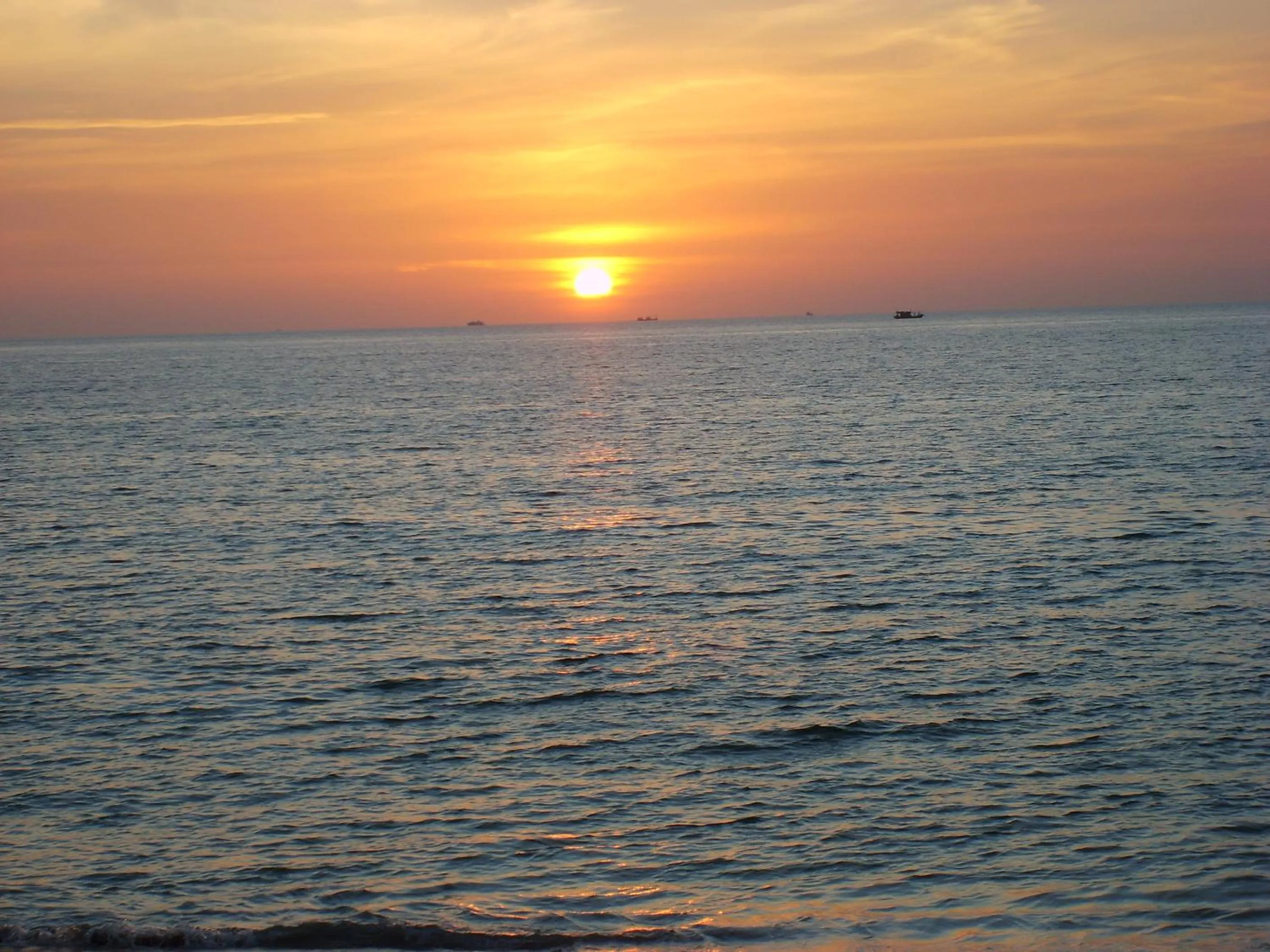 Beach in Pineapple Guesthouse