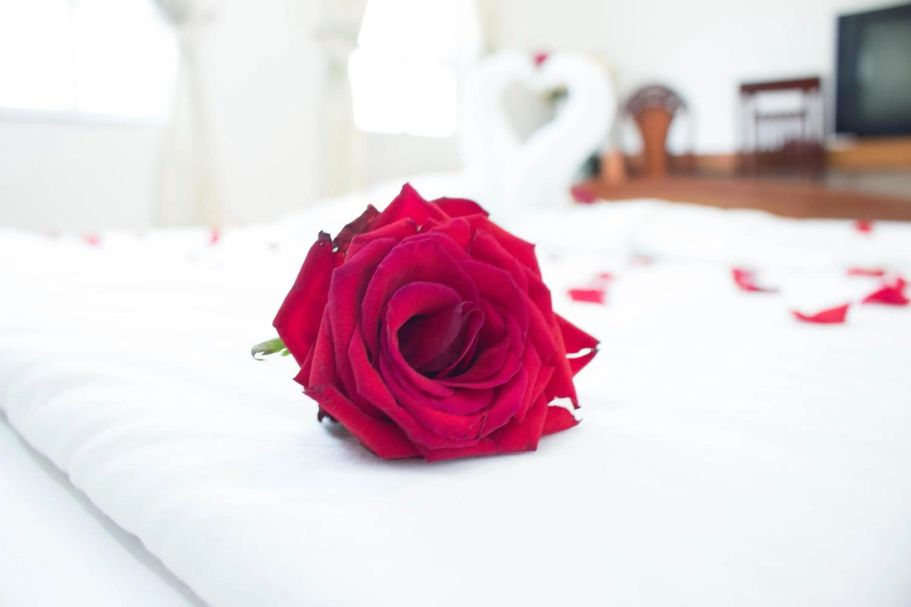 Photo of the whole room in Hoa Phat Hotel & Apartment