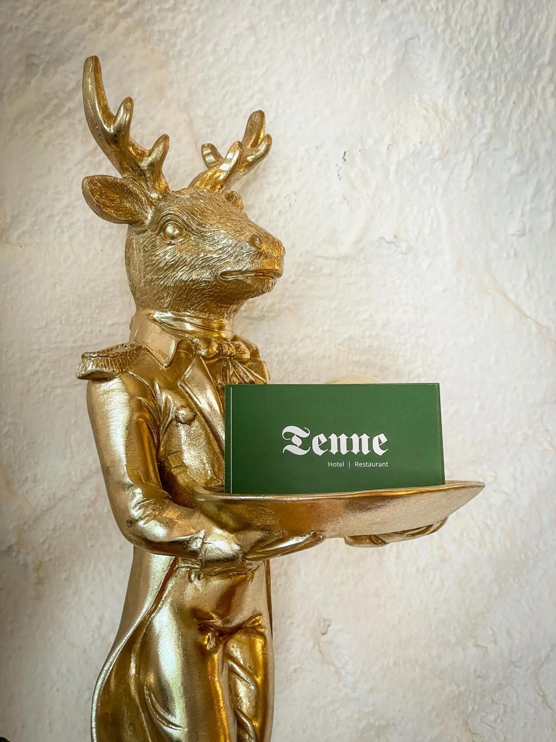 Hotel Tenne
