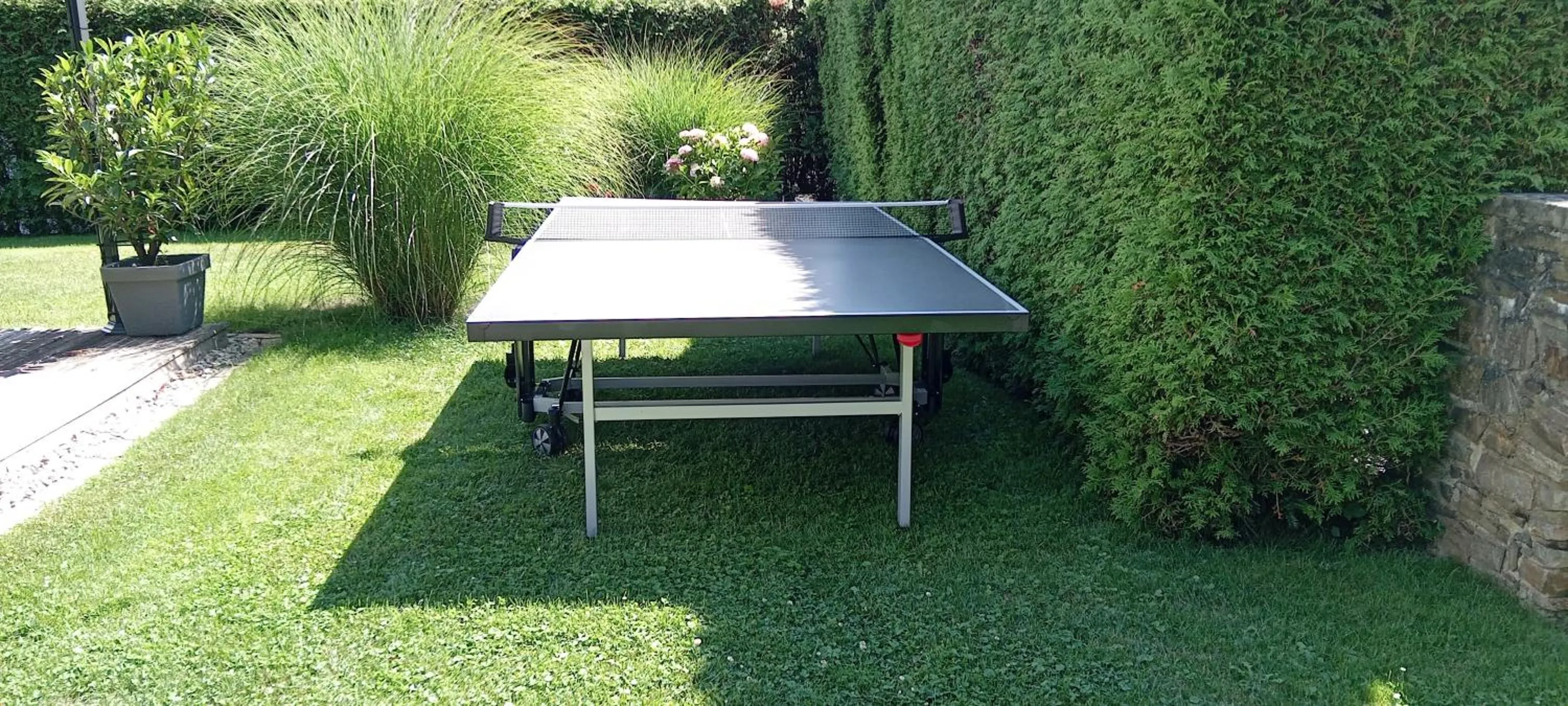 Table tennis in Gästehaus Tarmann